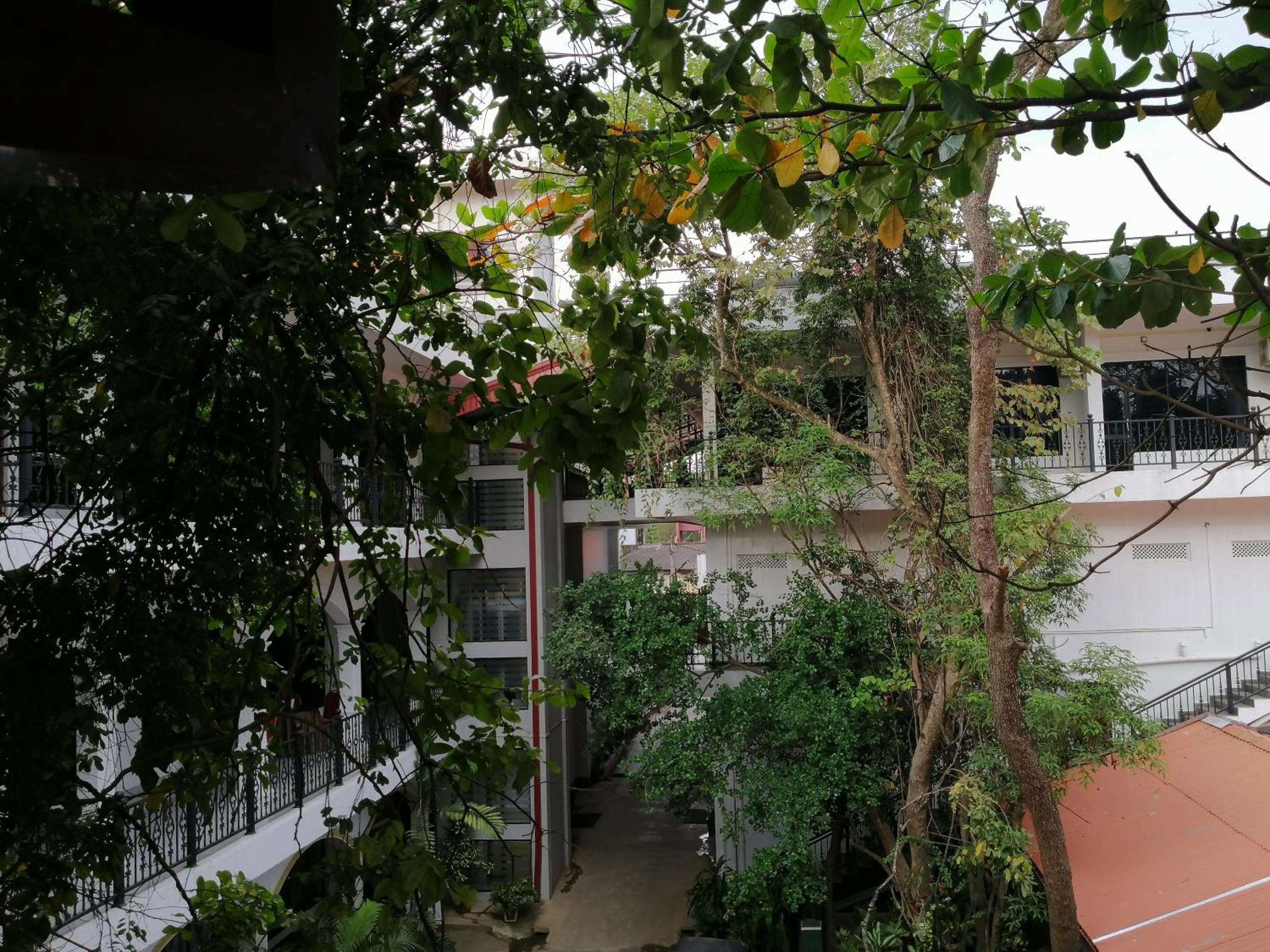 Garden in Centauria City Hotel