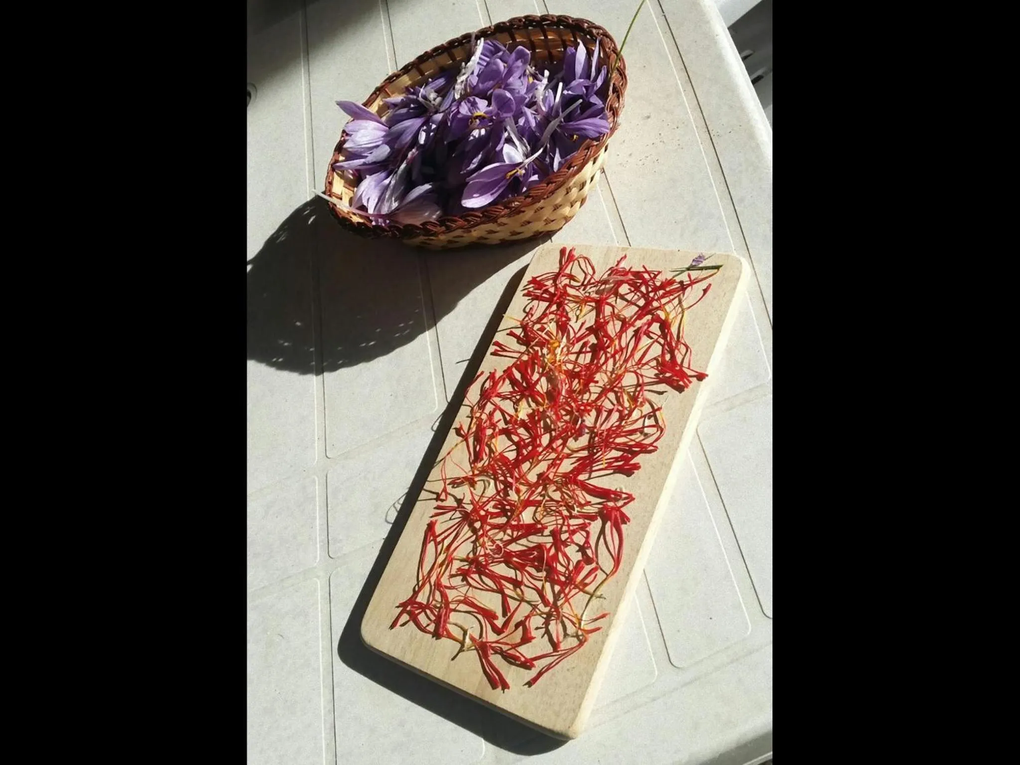 Garden view in La Casa Di Campagna