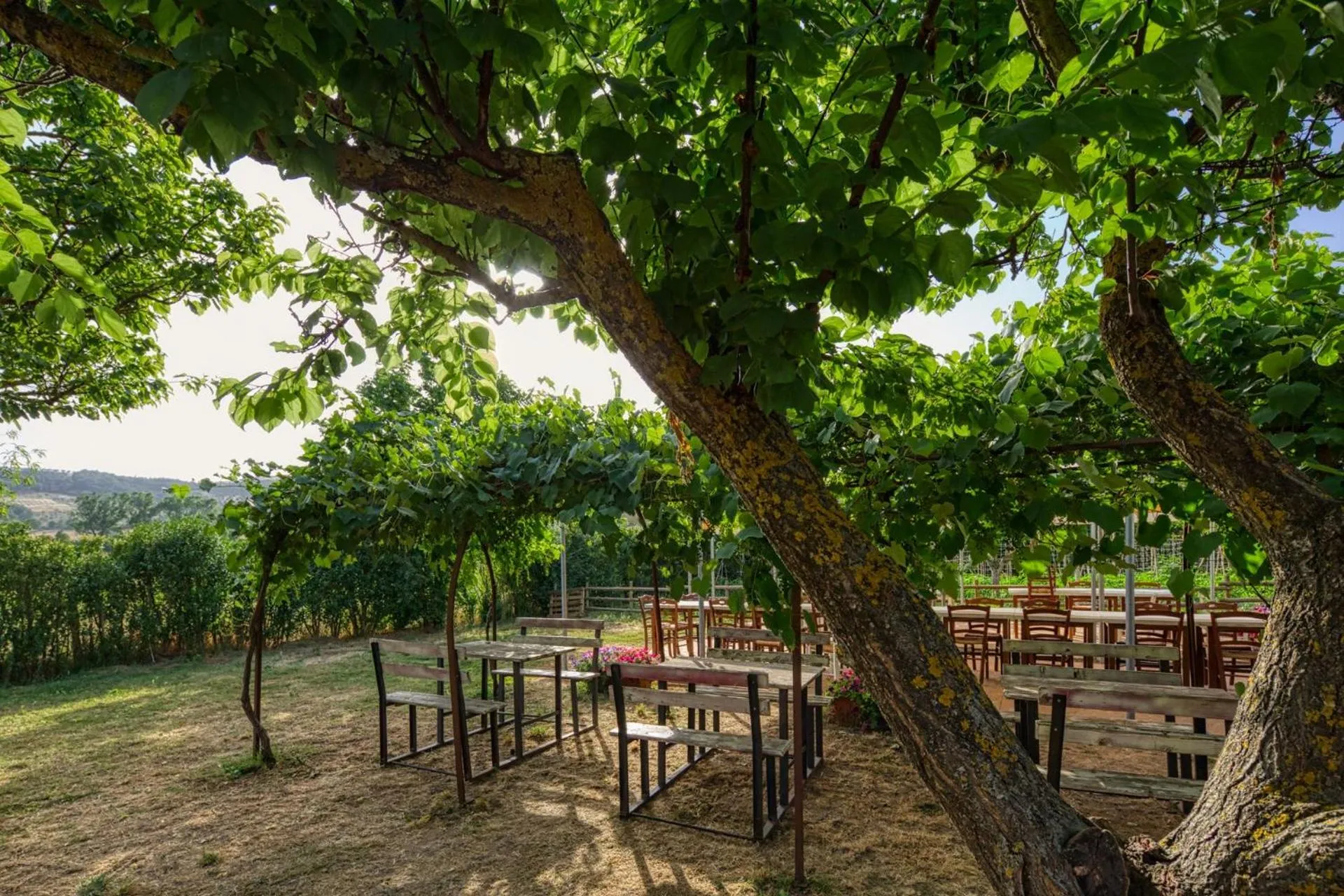 Restaurant/places to eat in La Casa Di Campagna