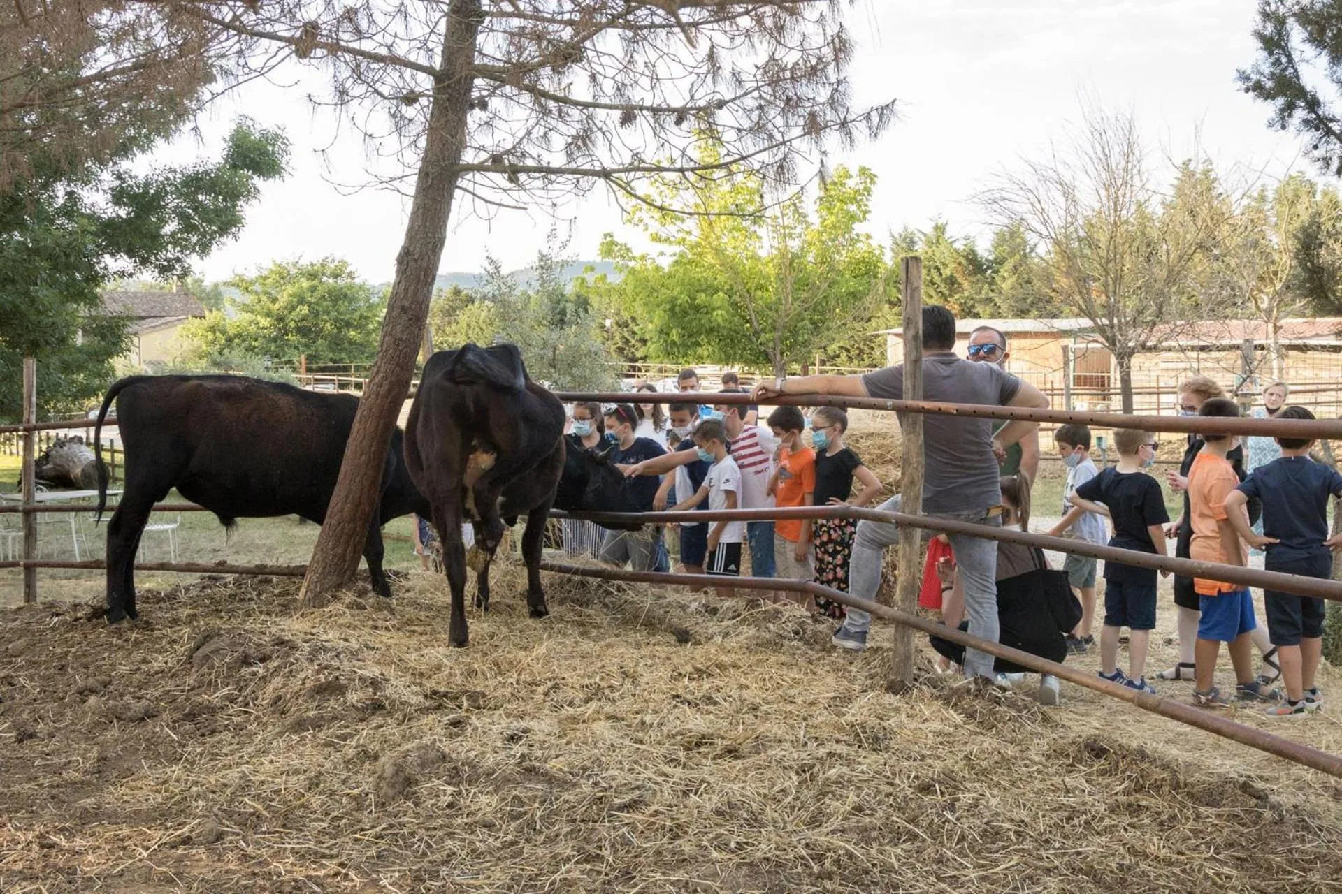 Activities in La Casa Di Campagna