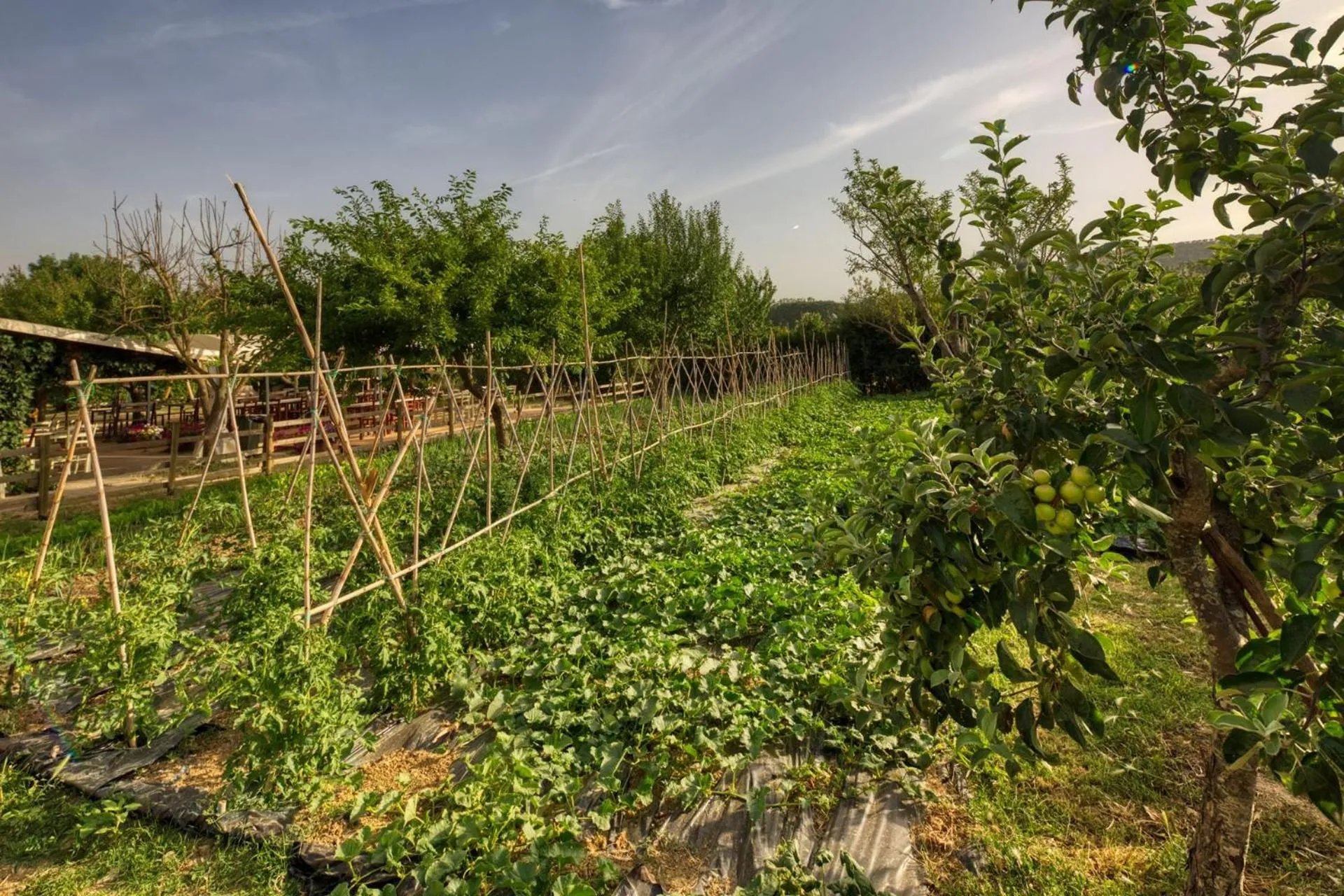 Food close-up in La Casa Di Campagna