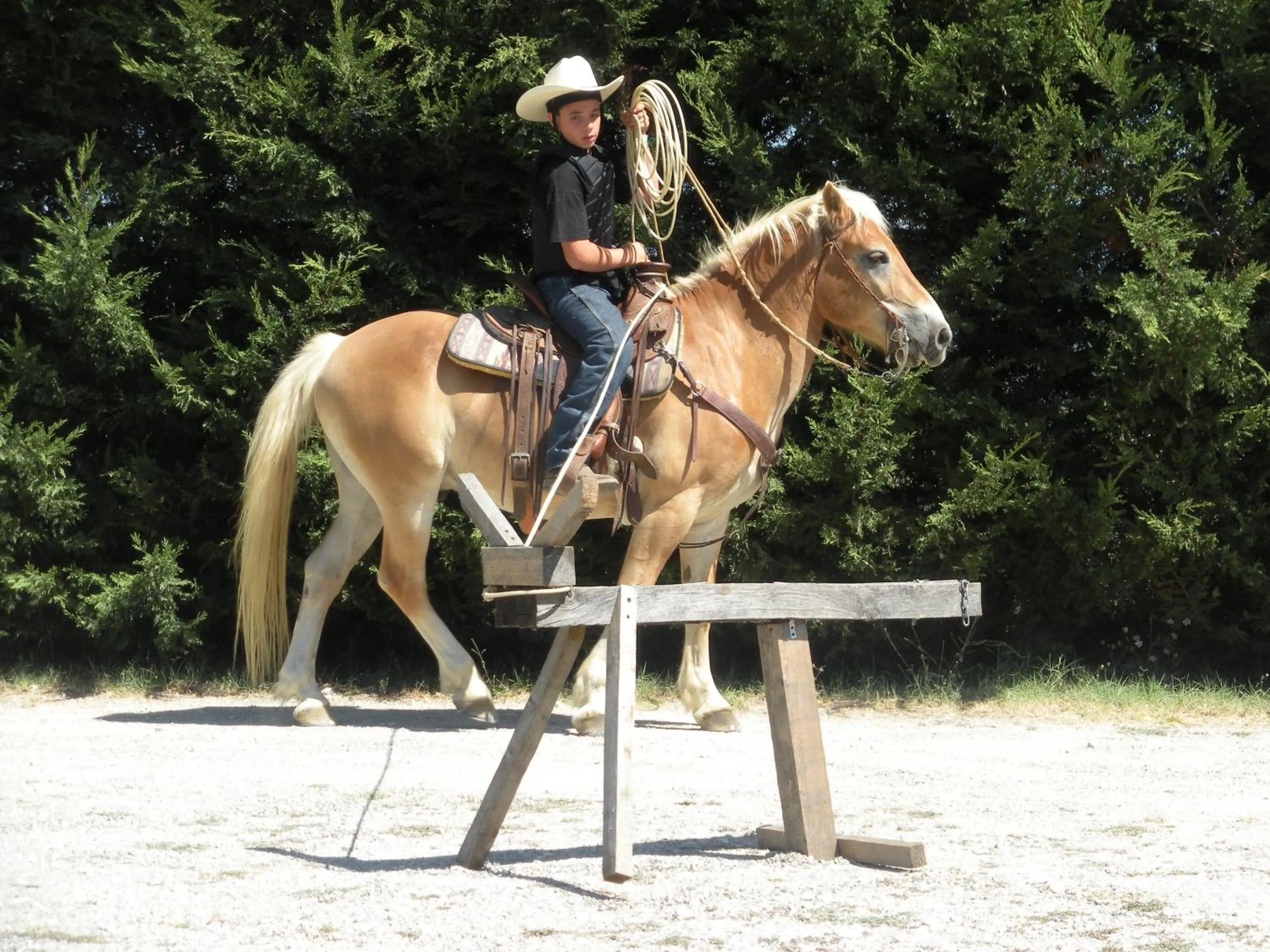 Pets in La Casa Di Campagna