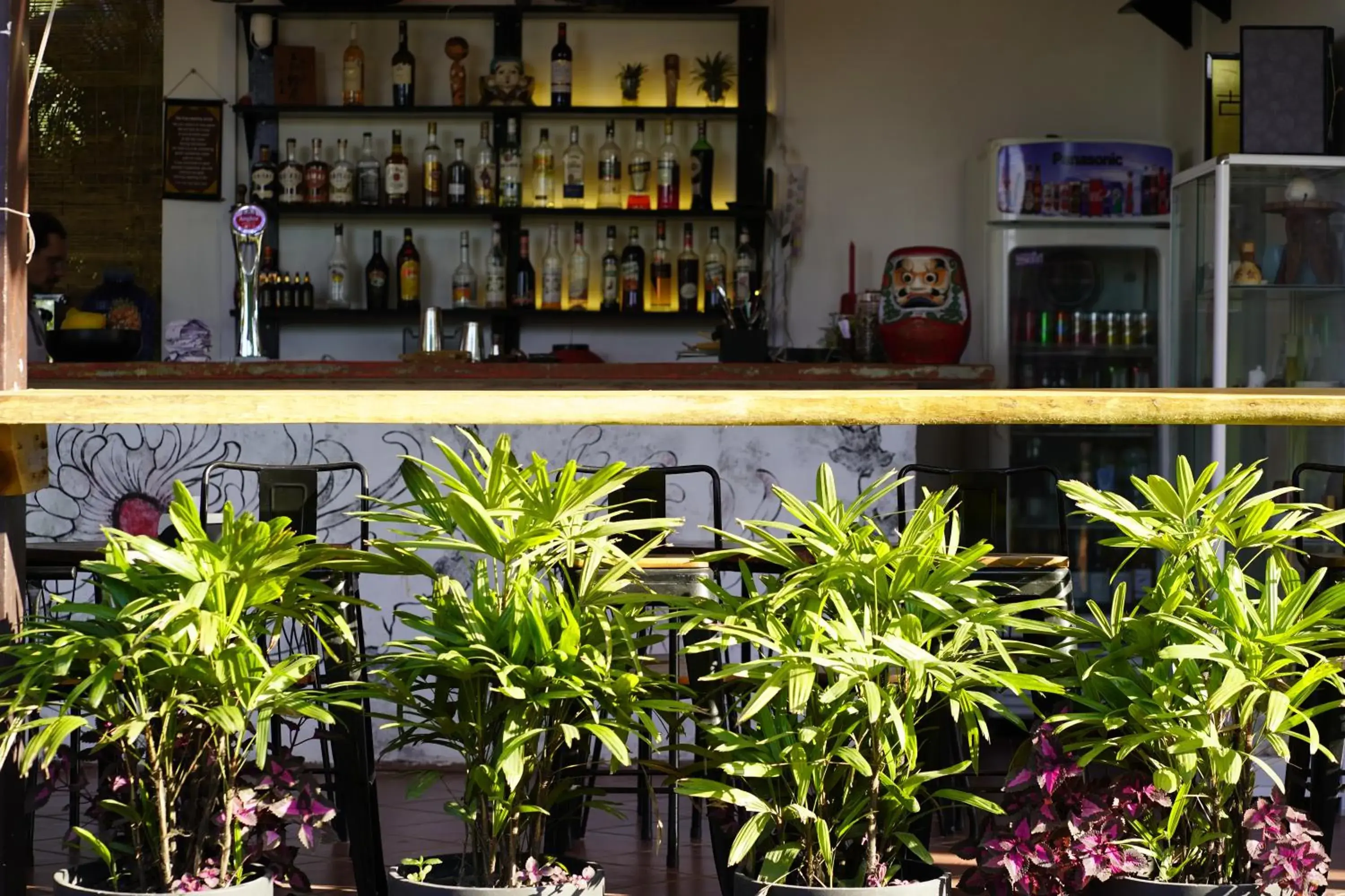 Lounge or bar in WHITE SAND ARK RESORT Lounge or bar in WHITE SAND ARK RESORT