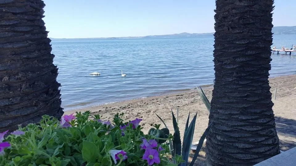 Hotel Lido - Beach and Palace