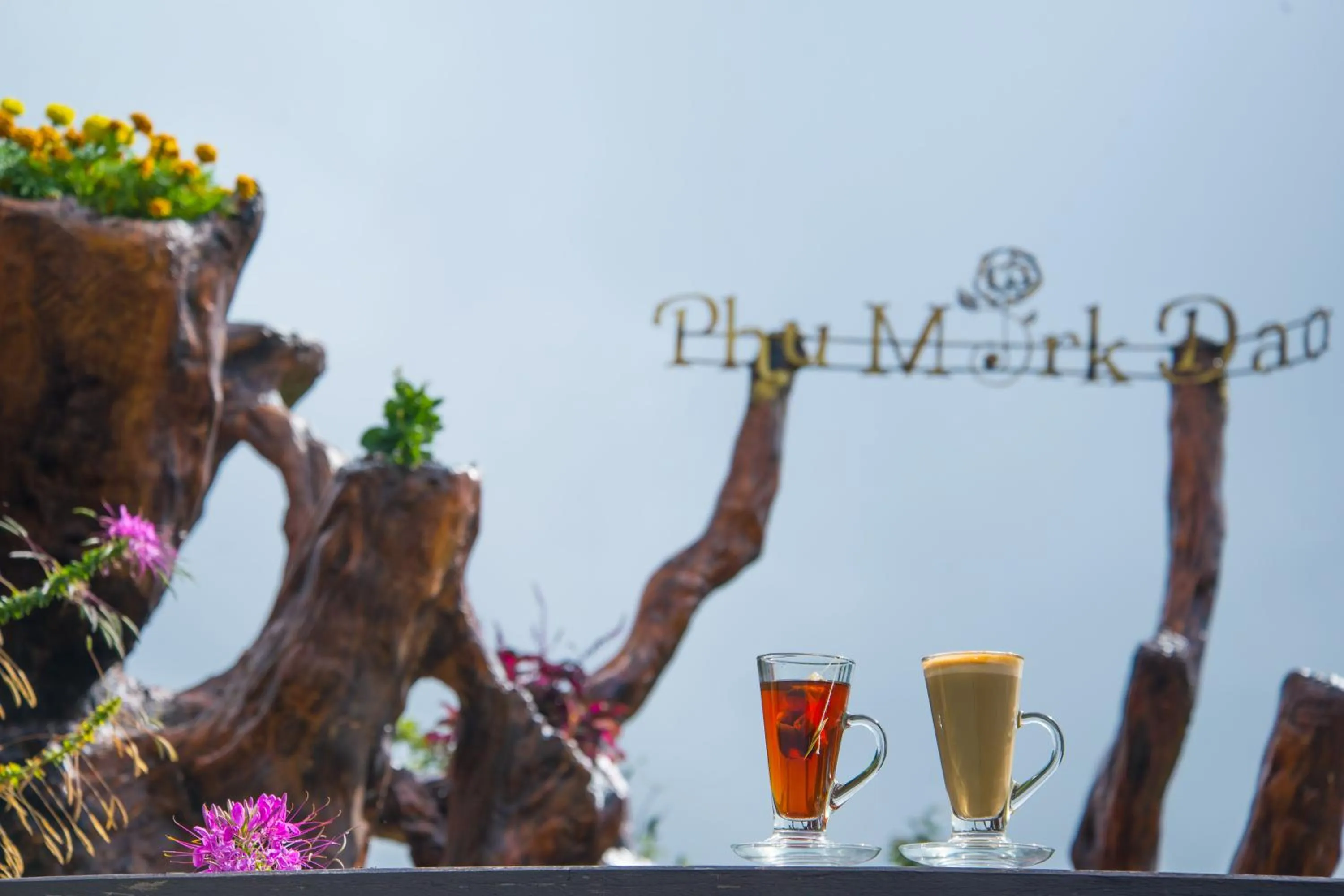 Restaurant/places to eat in Phumorkdao Resort