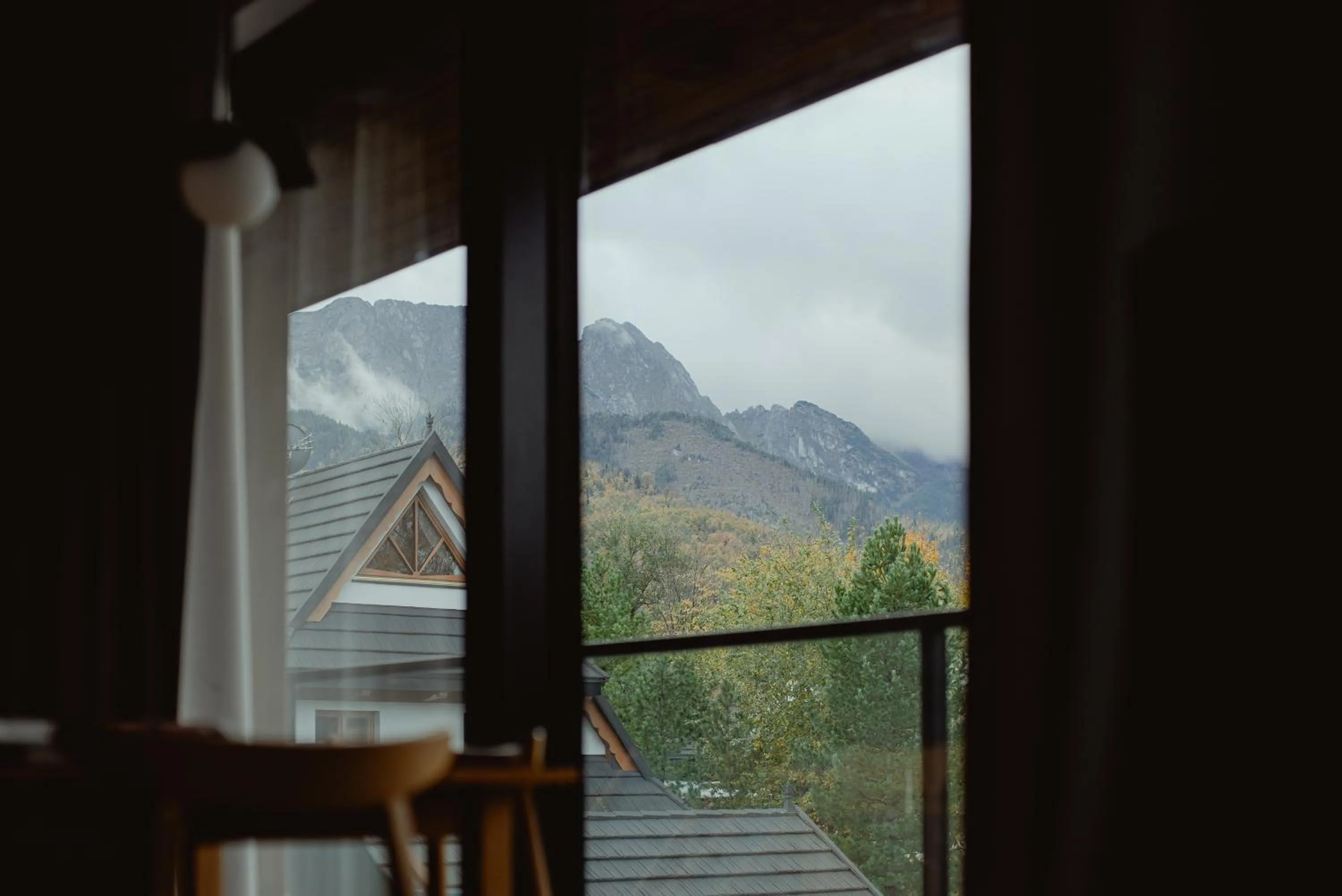 View (from property/room) in Lipowy Dwór