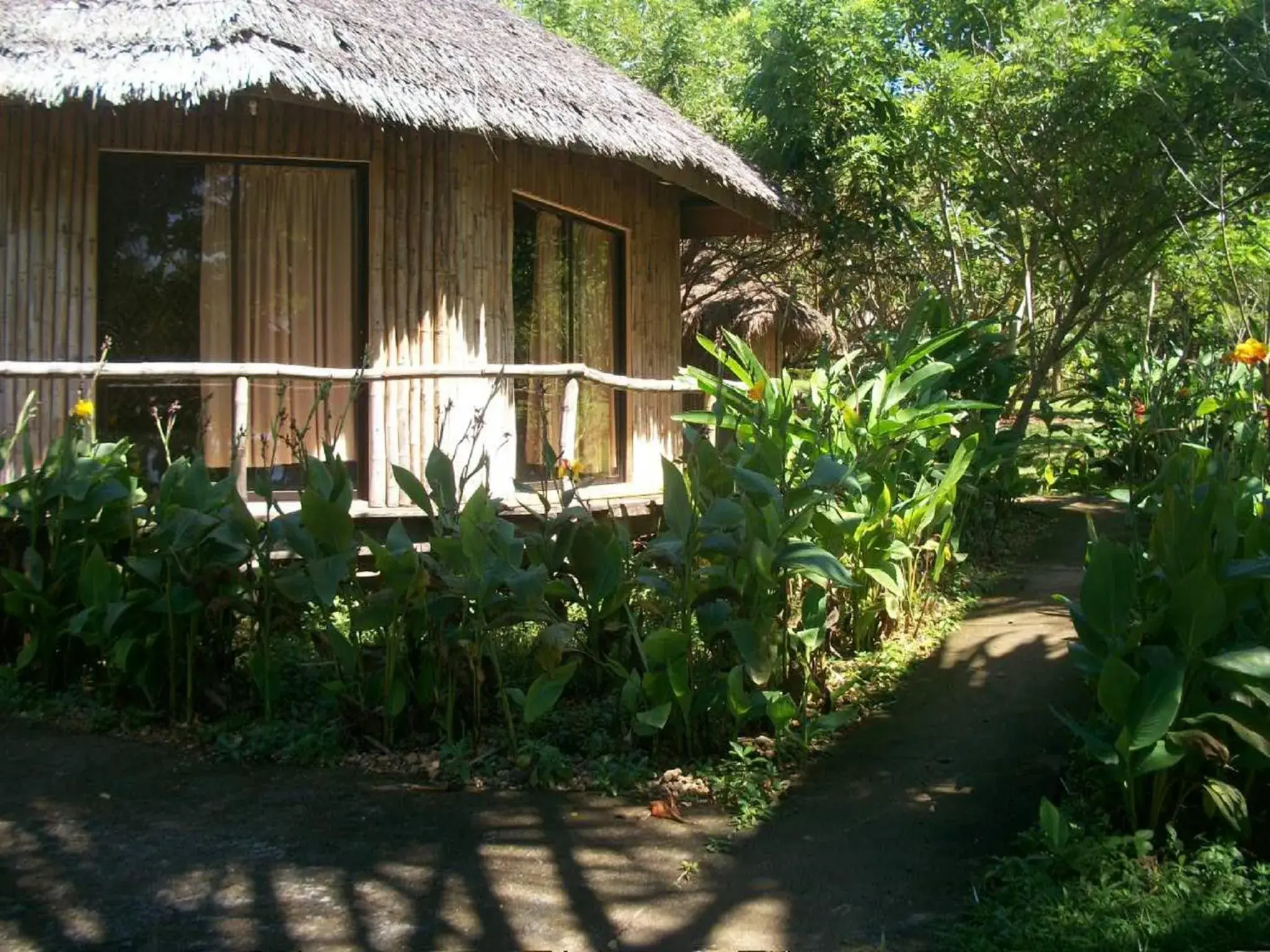 Facade/entrance in Tori's Backpacker's Paradise Facade/entrance in Tori's Backpacker's Paradise