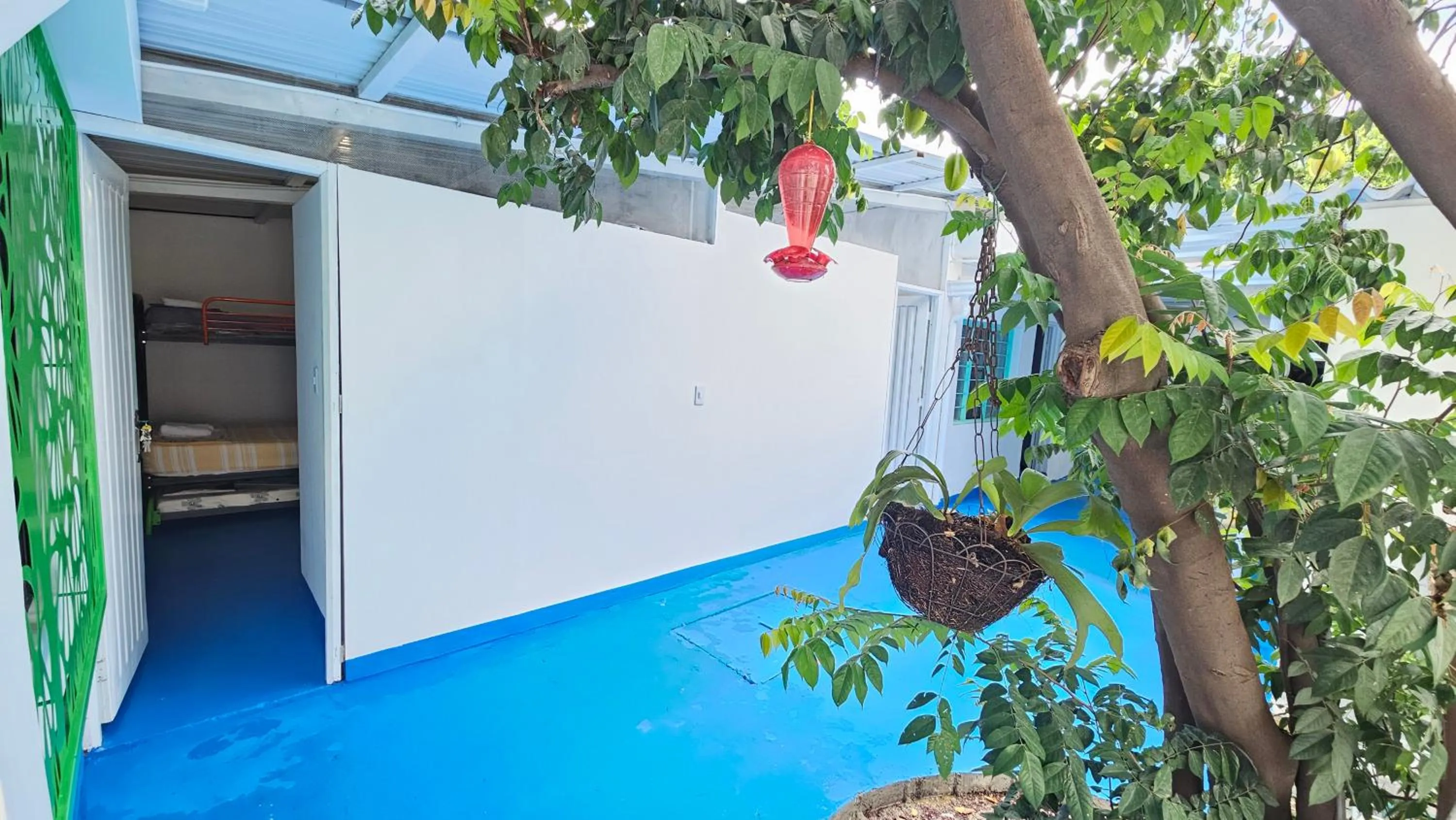 Garden in Mom's house Colombia