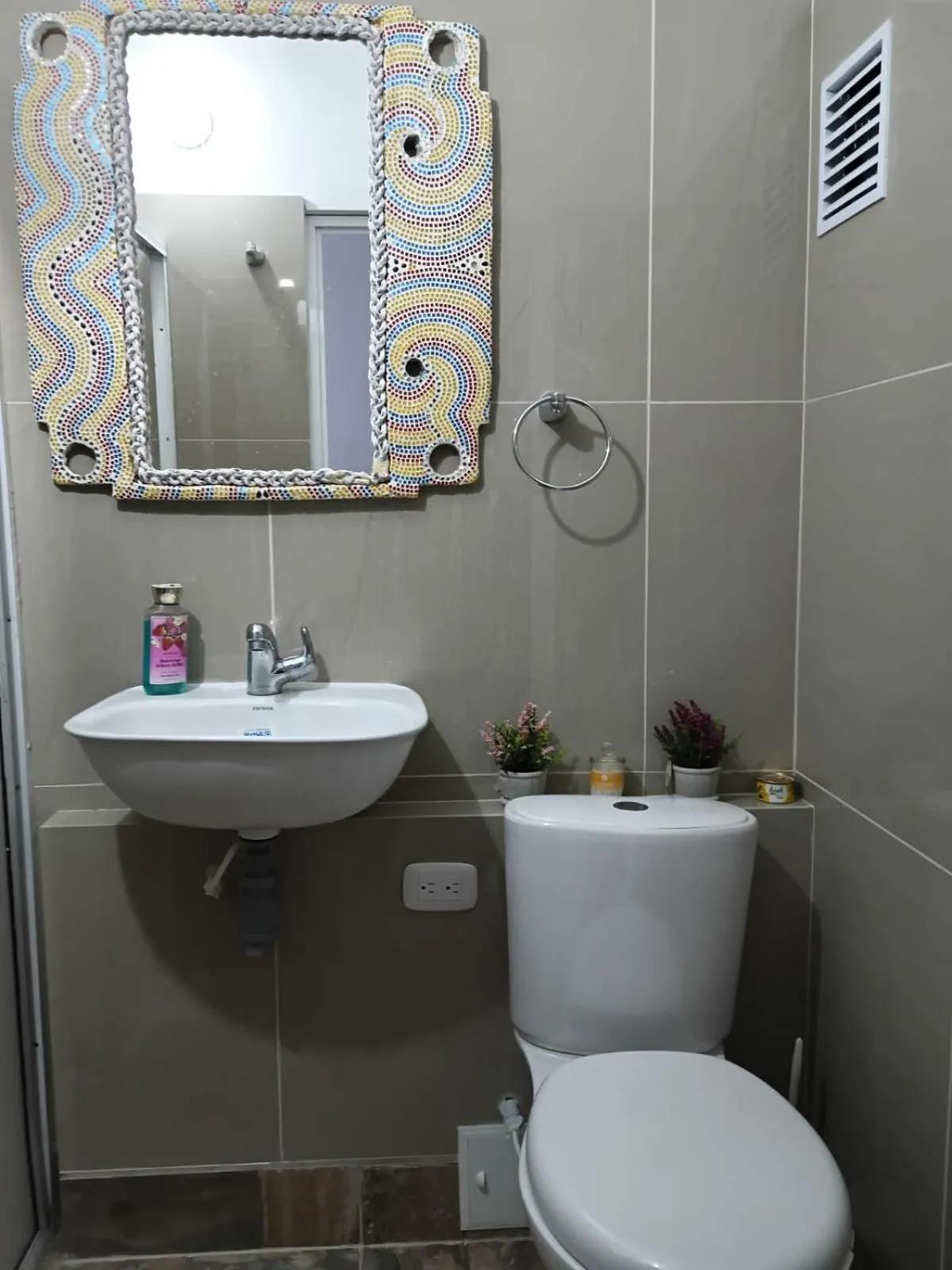 Toilet in Mom's house Colombia