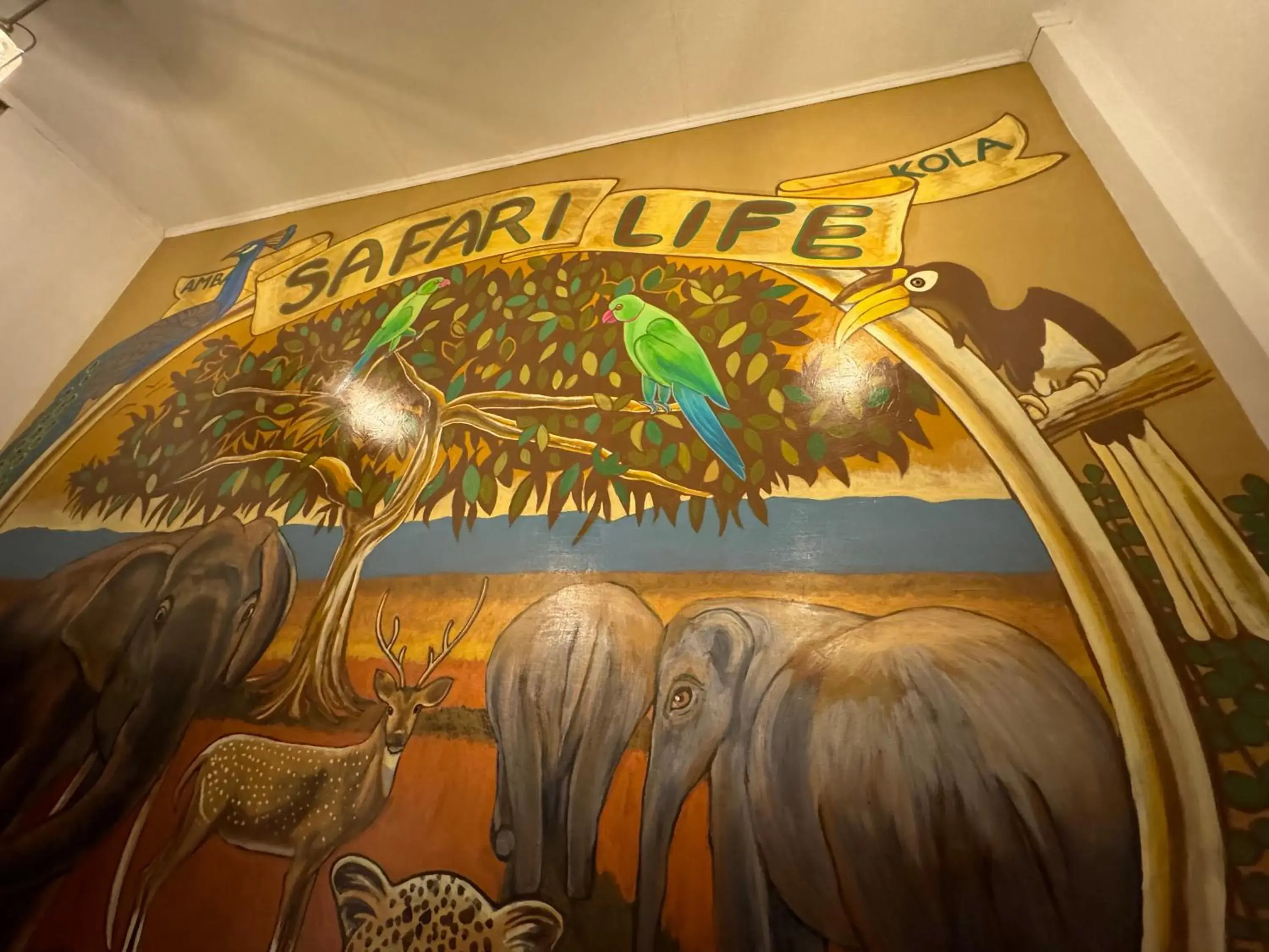 Amba Kola Udawalawa Amba Kola Udawalawa