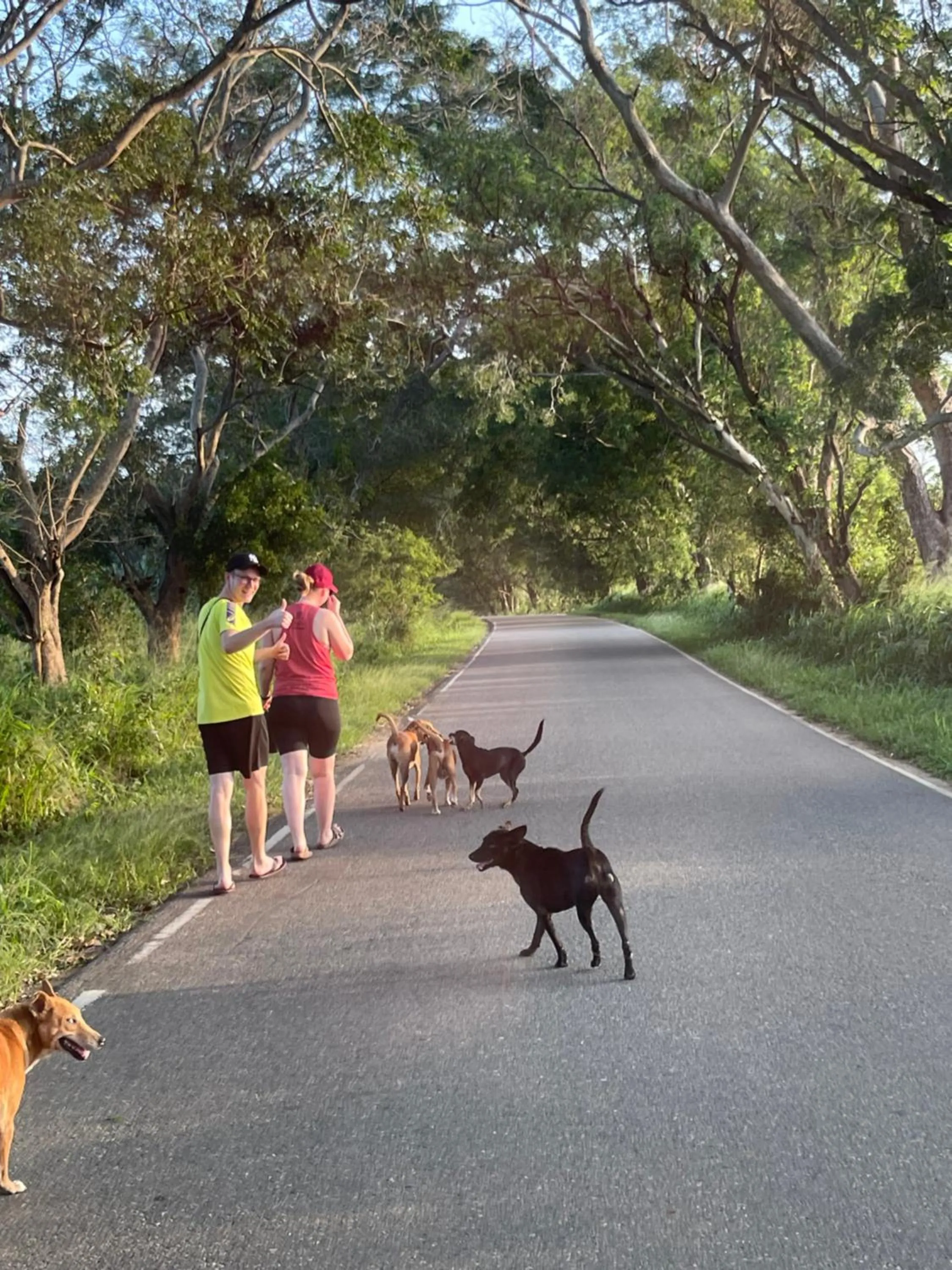 Pets in Amba Kola Udawalawa