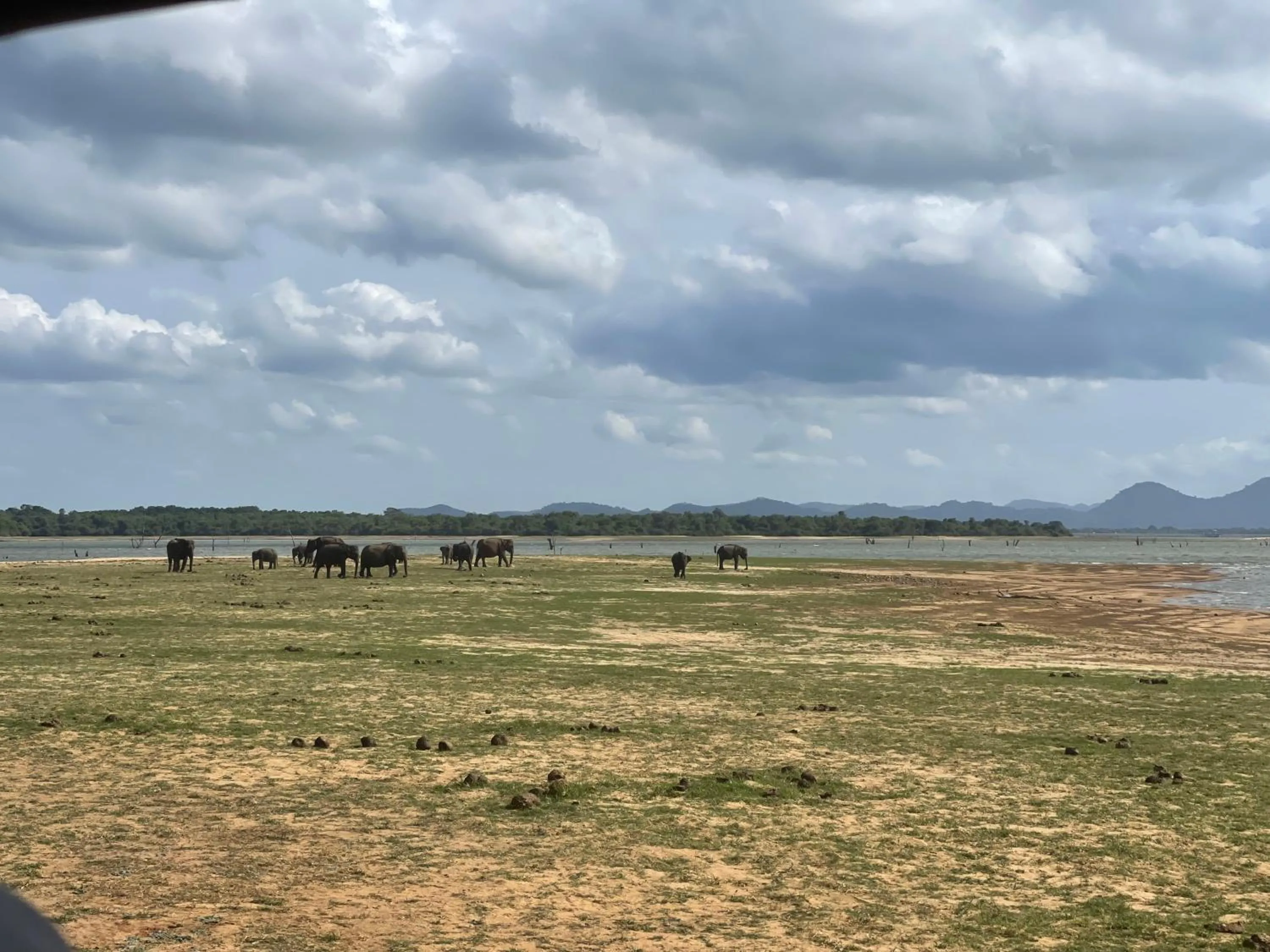 Natural landscape in Amba Kola Udawalawa