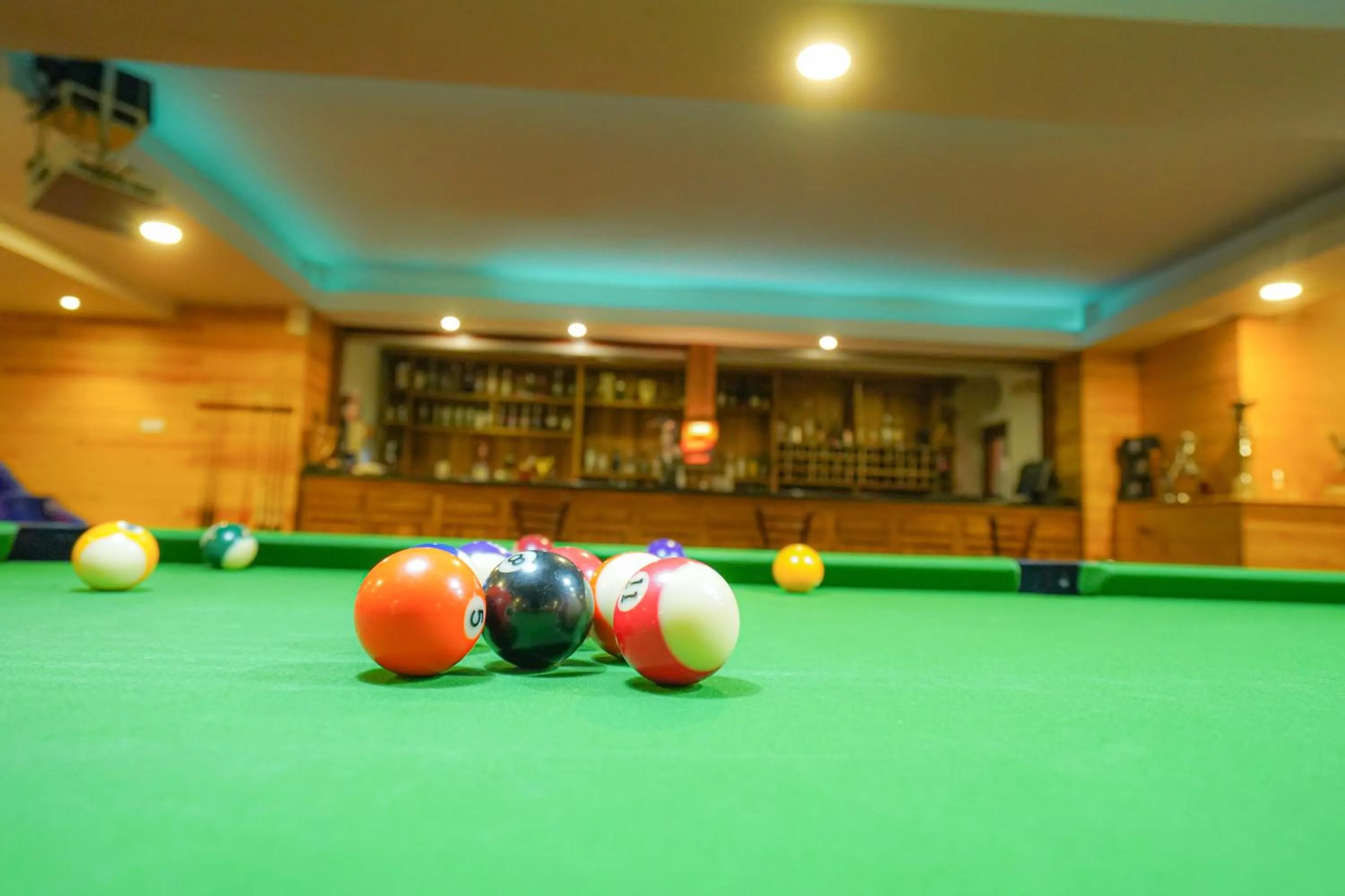 Billiard in Araliya Green Hills - Where Historic Charm Mingles with Natural Beauty