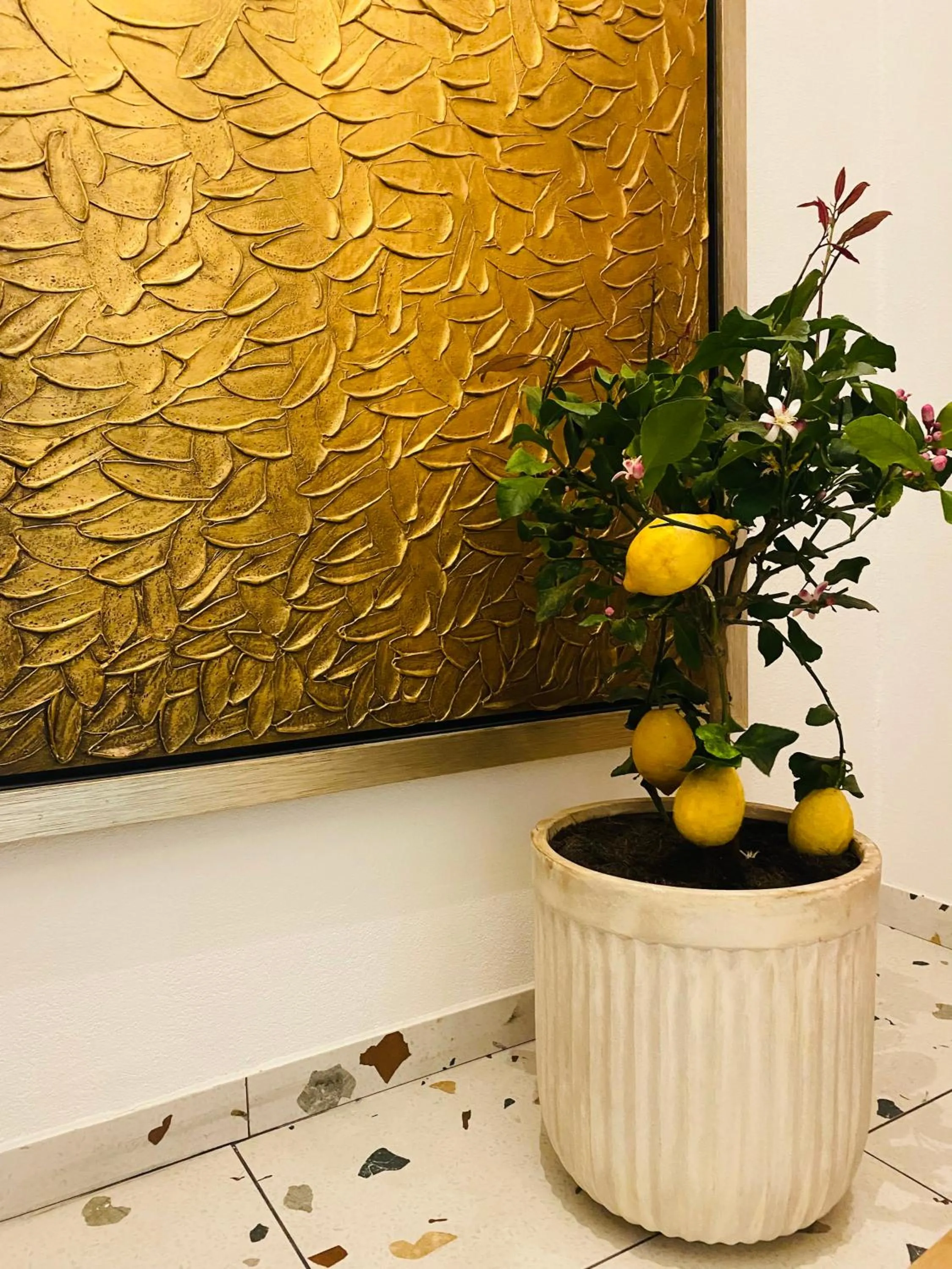 Rooms & Apartment ZALA Near Airport