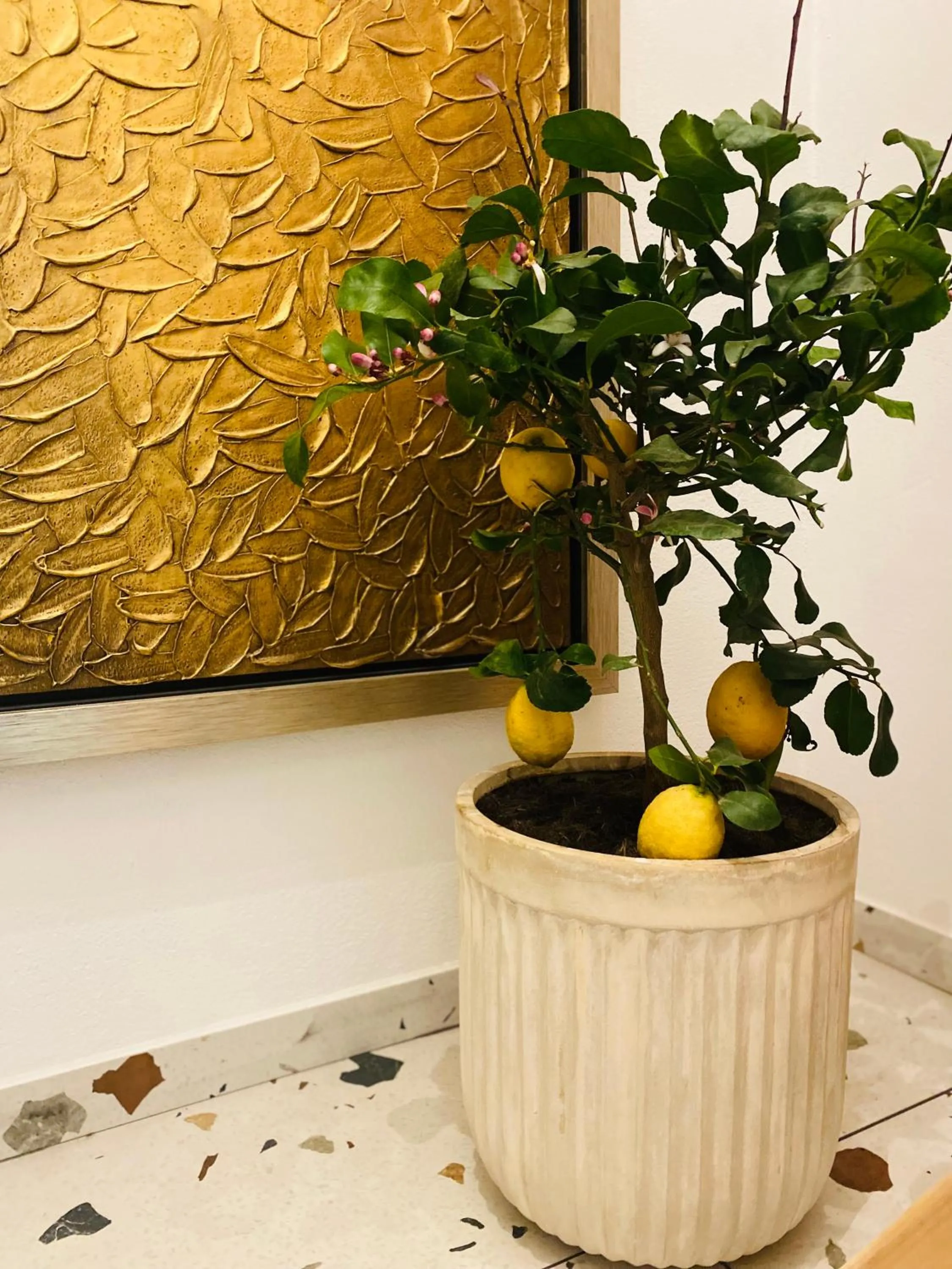 Rooms & Apartment ZALA Near Airport