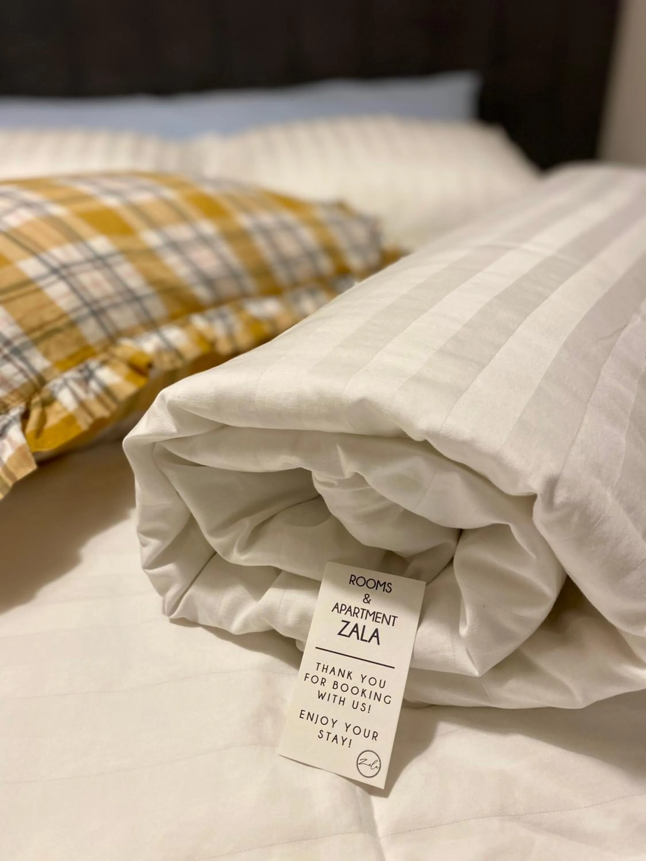 Bed in Rooms & Apartment ZALA Near Airport