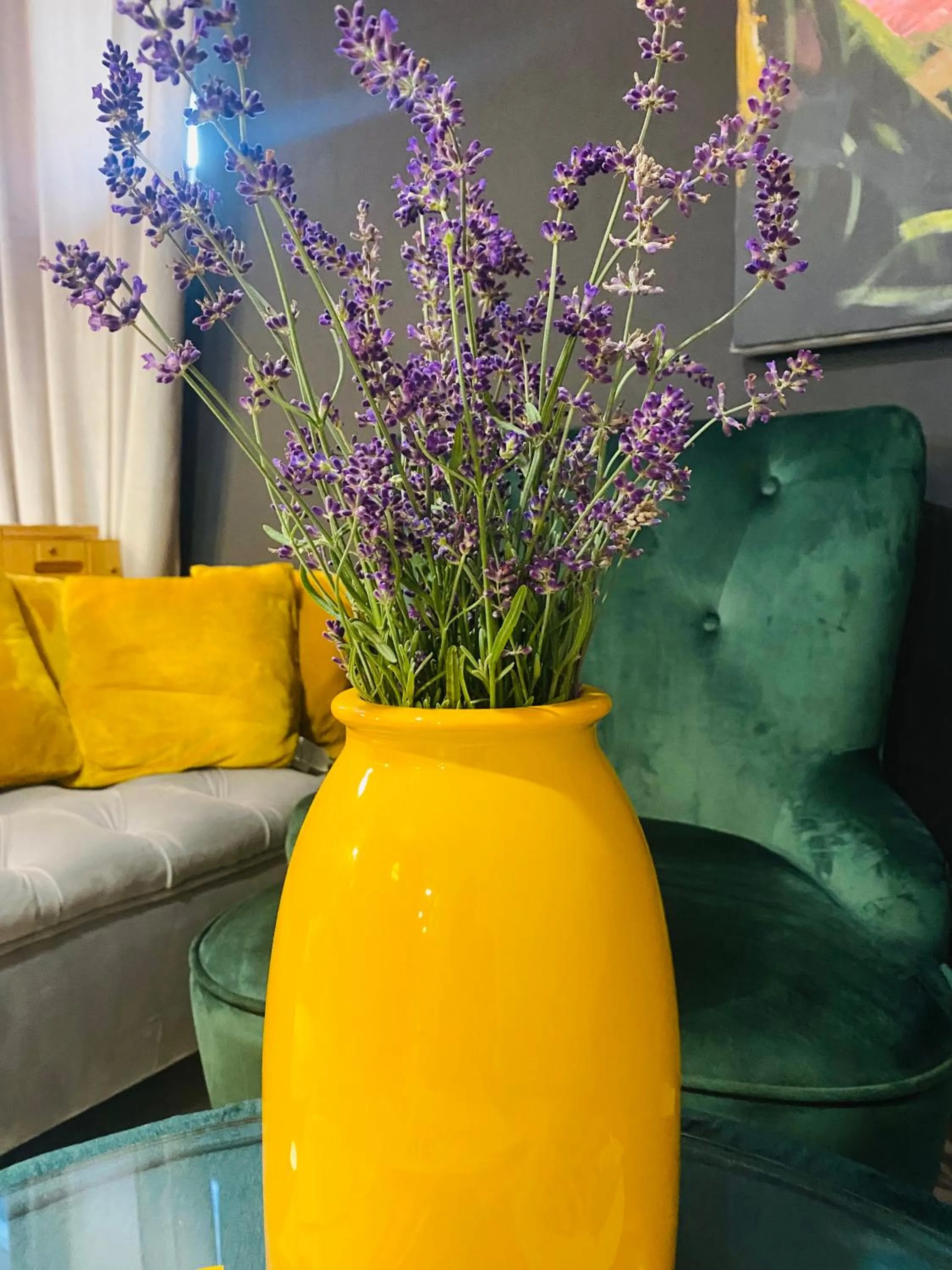 Rooms & Apartment ZALA Near Airport