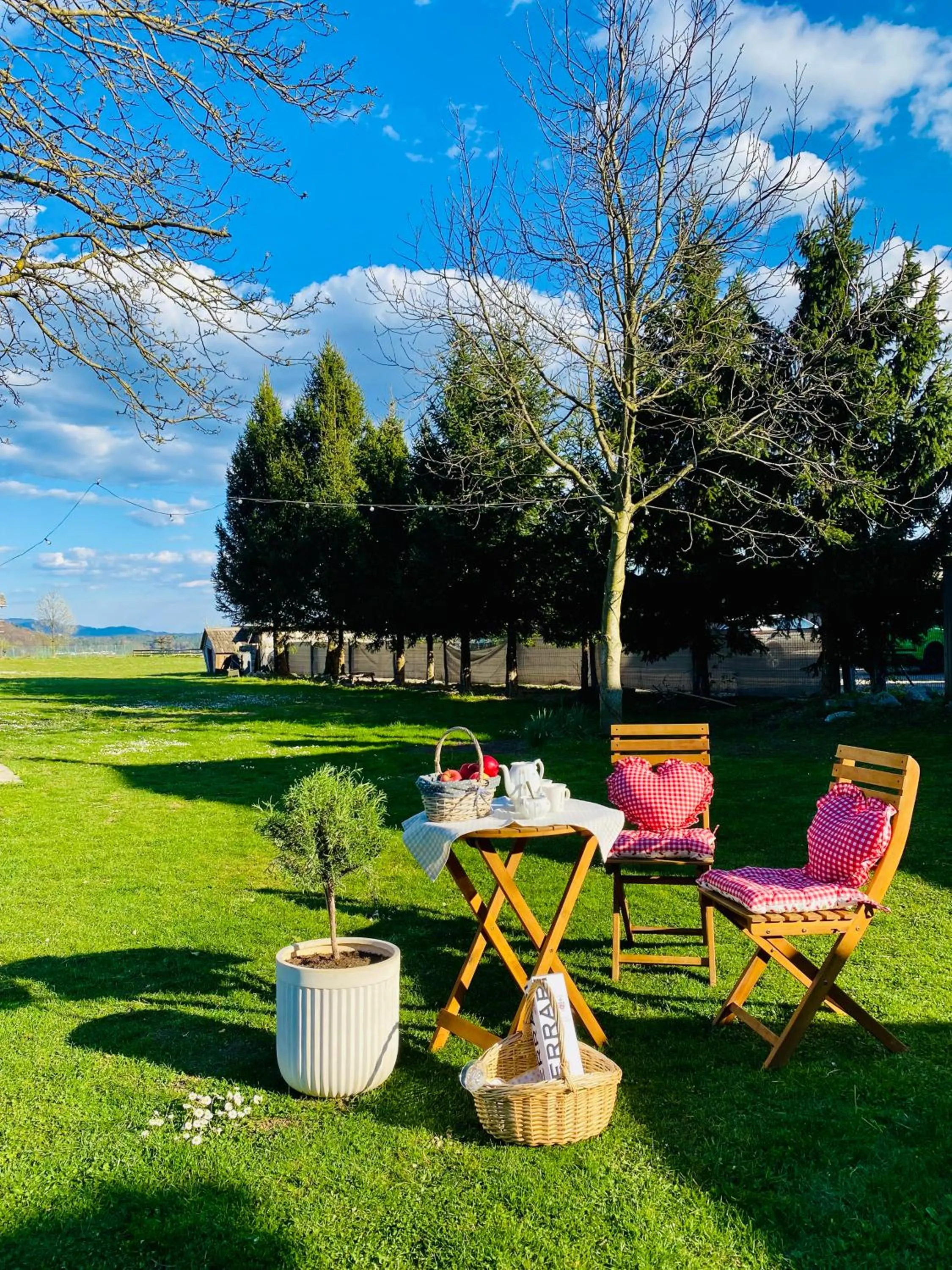 Rooms & Apartment ZALA Near Airport