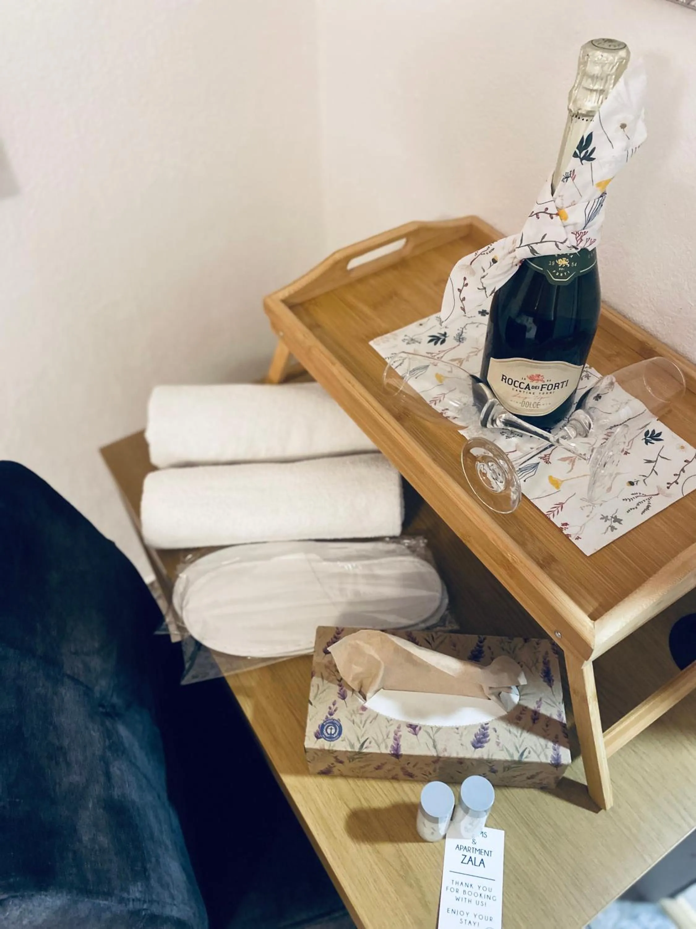 Rooms & Apartment ZALA Near Airport