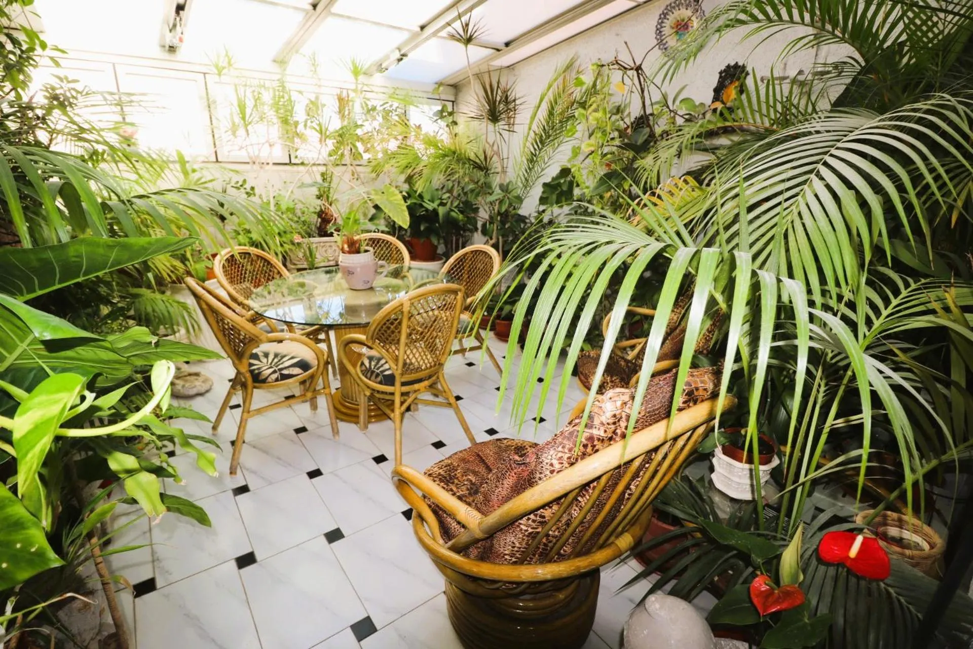 Hostal Hispano - Argentino Gran Vía