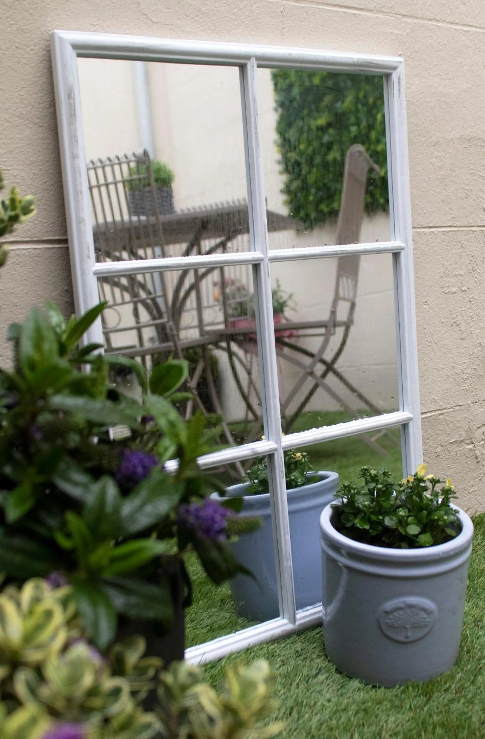 Garden in The Belfast Boutique Central Cozy