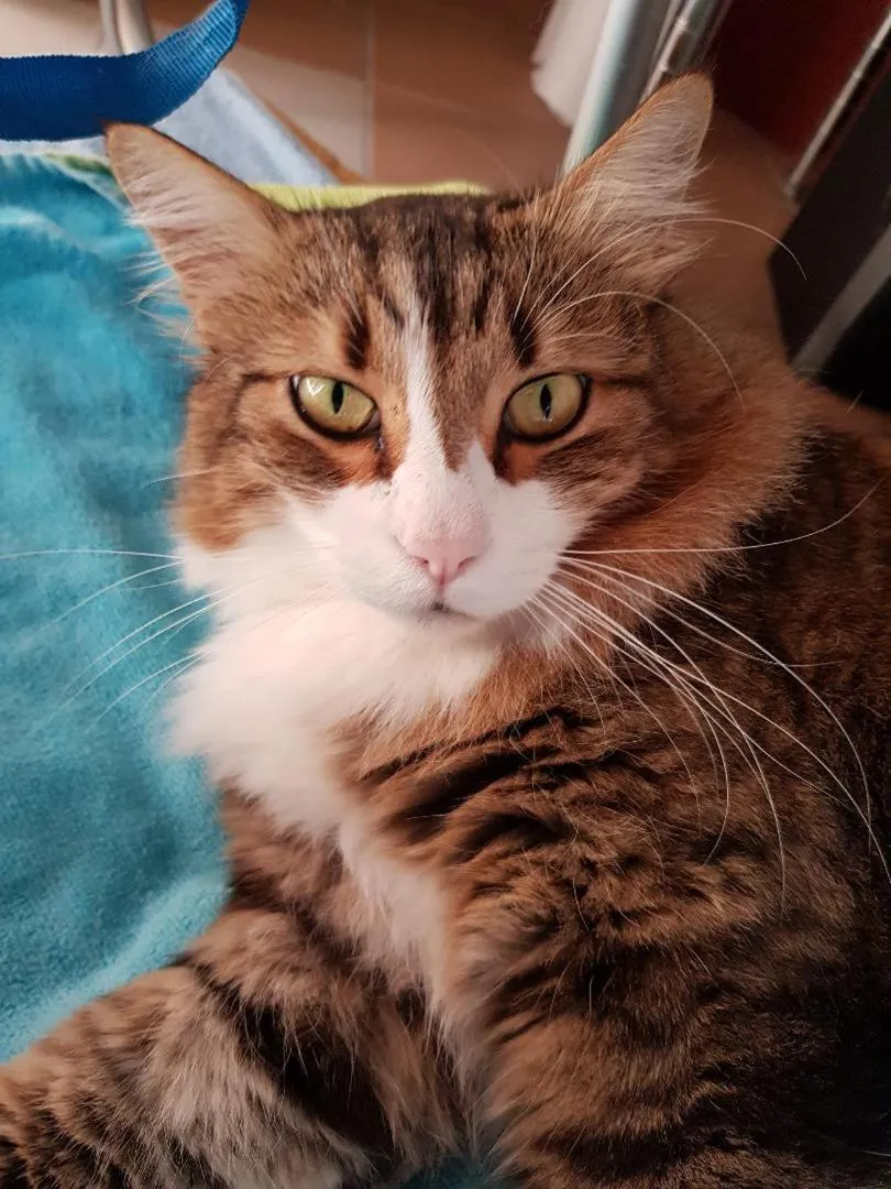 B&B Casa San Jacopo al Giardino