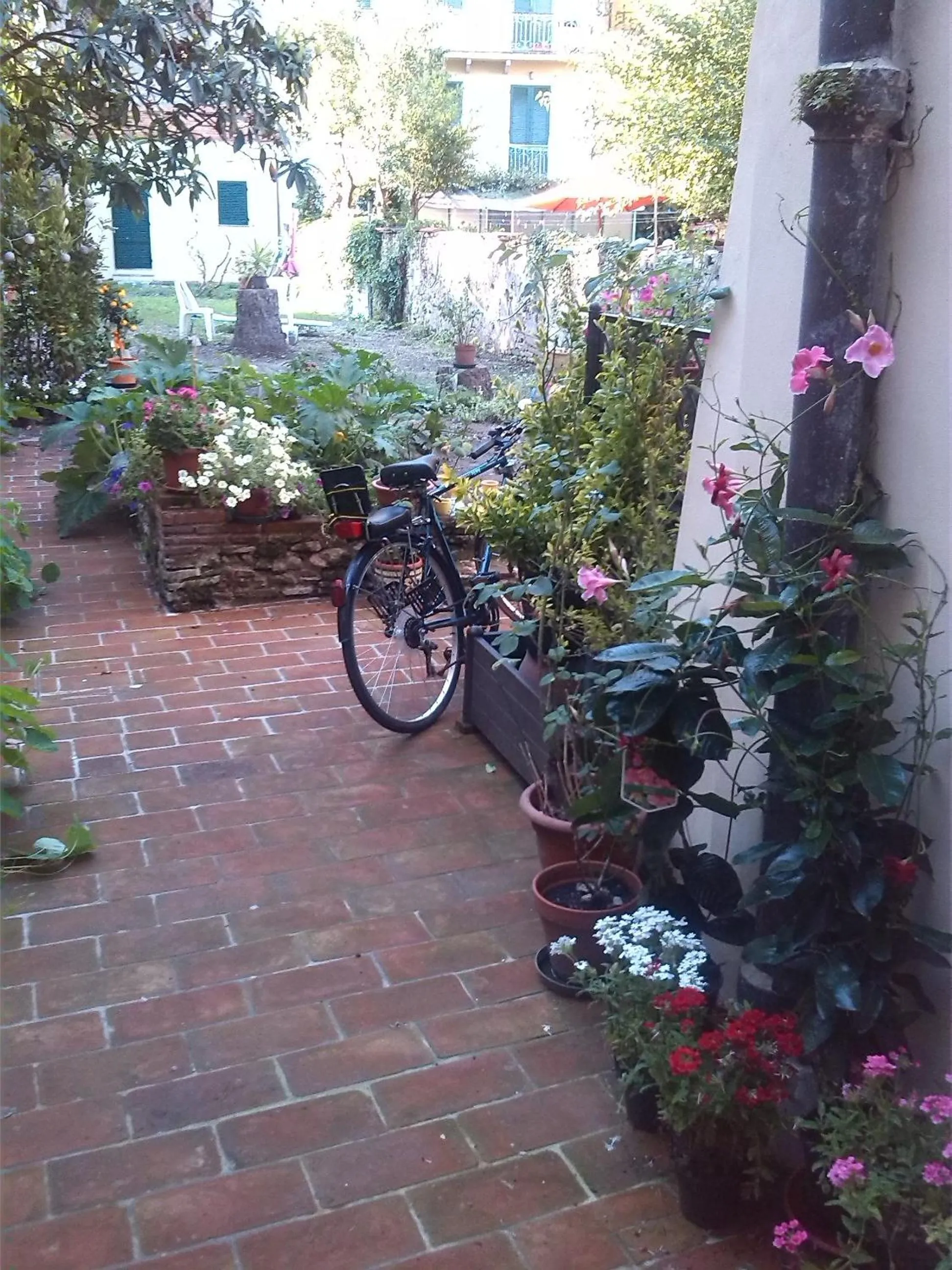 Garden in B&B Casa San Jacopo al Giardino