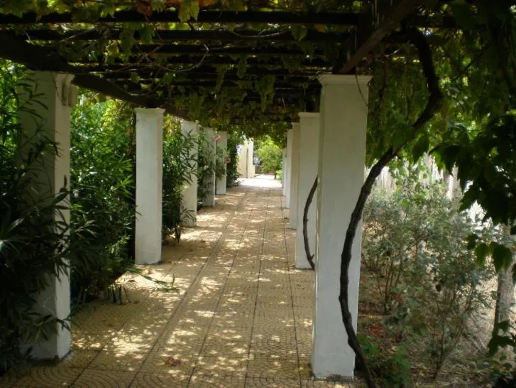 Garden in ANAMAMA -SOCRATES studios