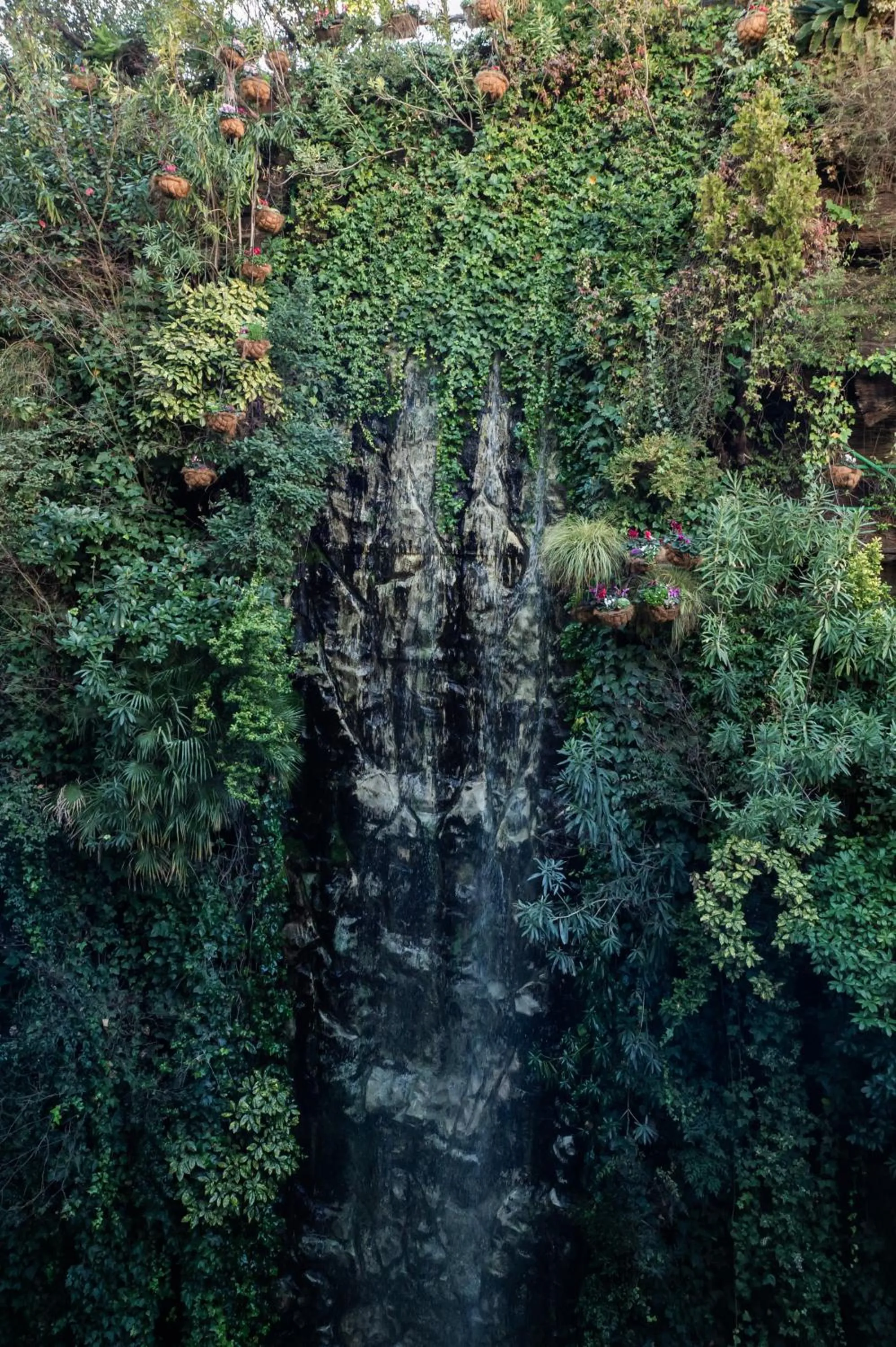 Garden in Inhala Hotel Garden