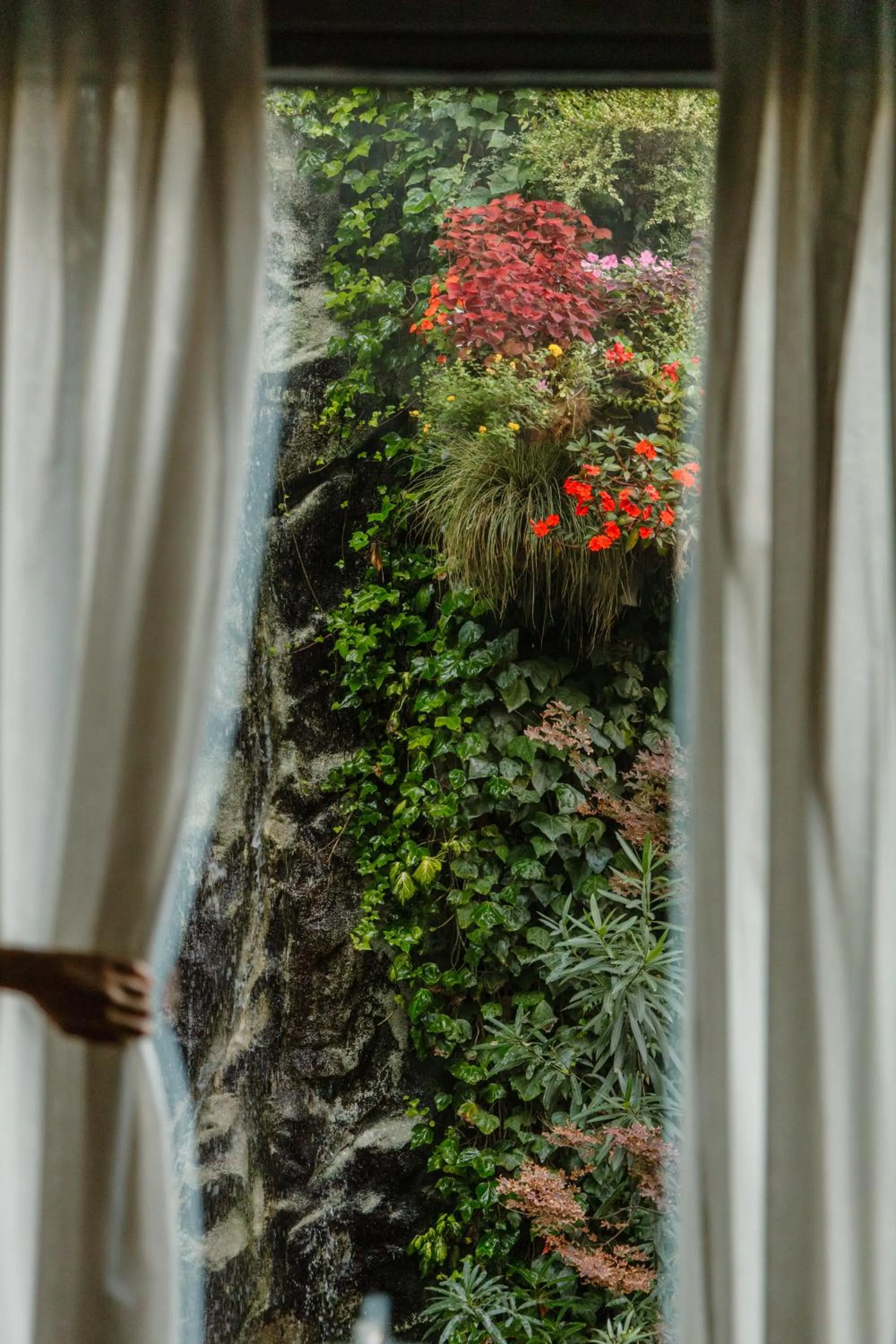 Garden view in Inhala Hotel Garden