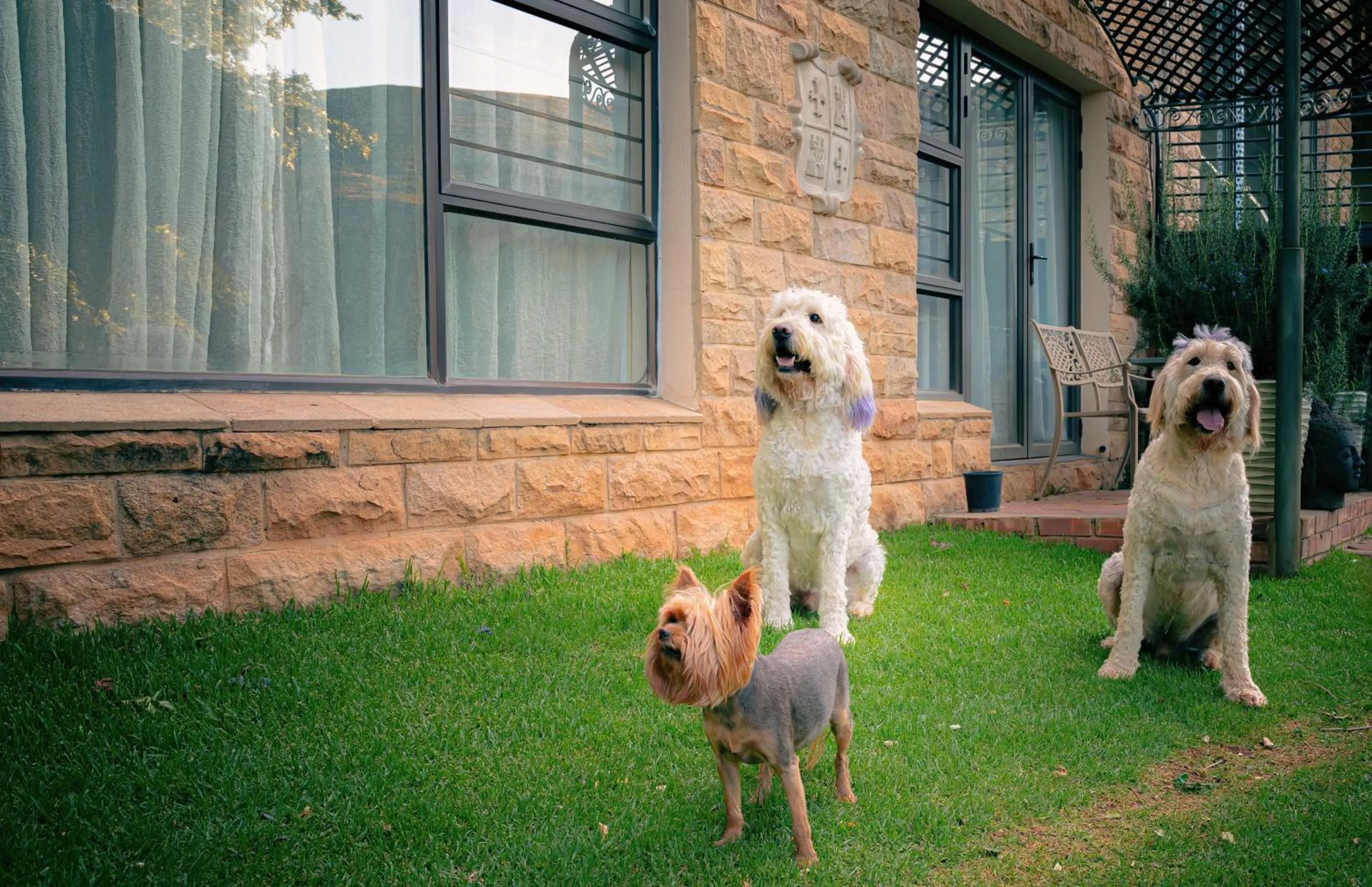 Pets in Titanic View - Place of Peace