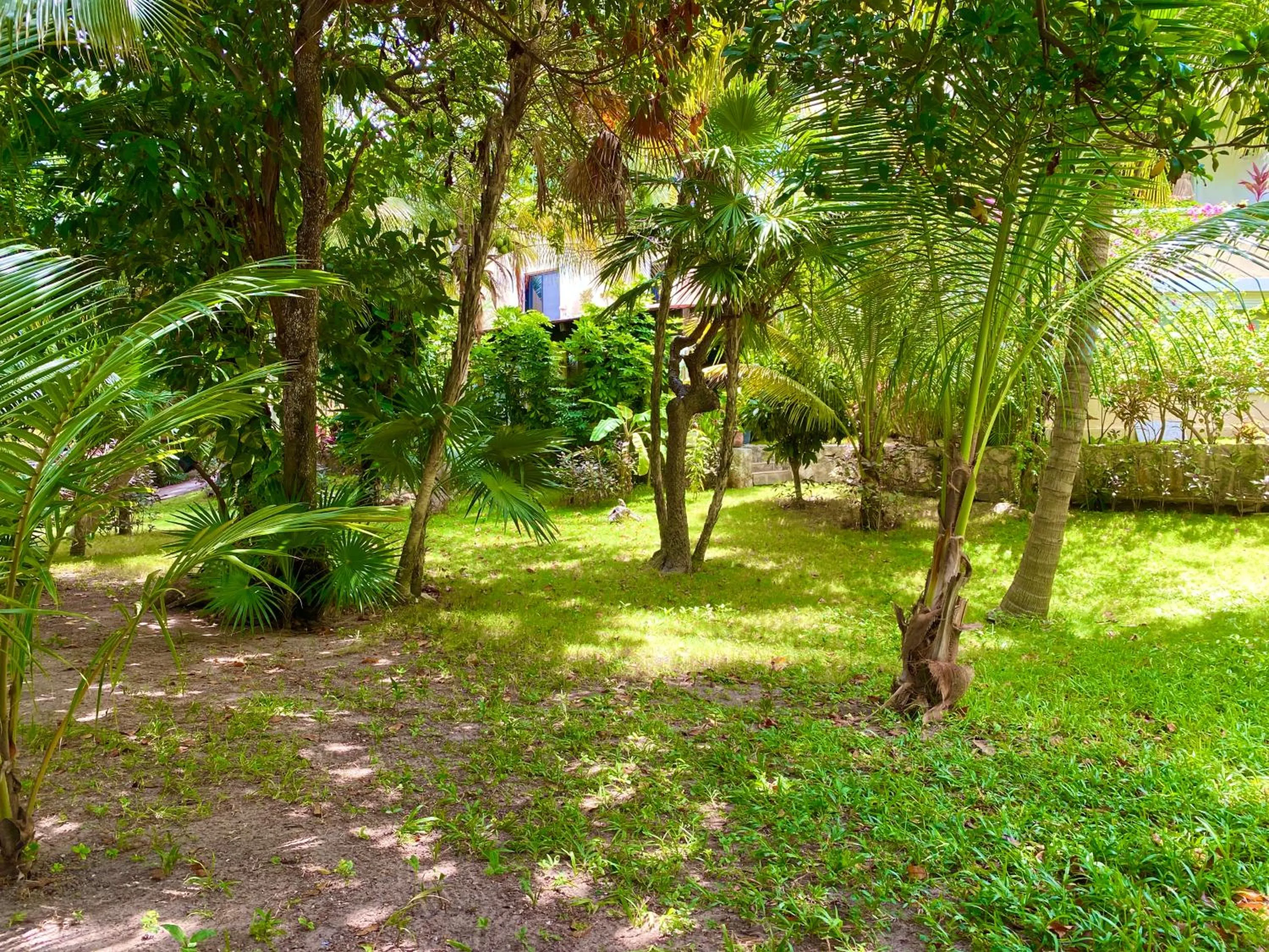 Garden in Villas Tropical By Andiani