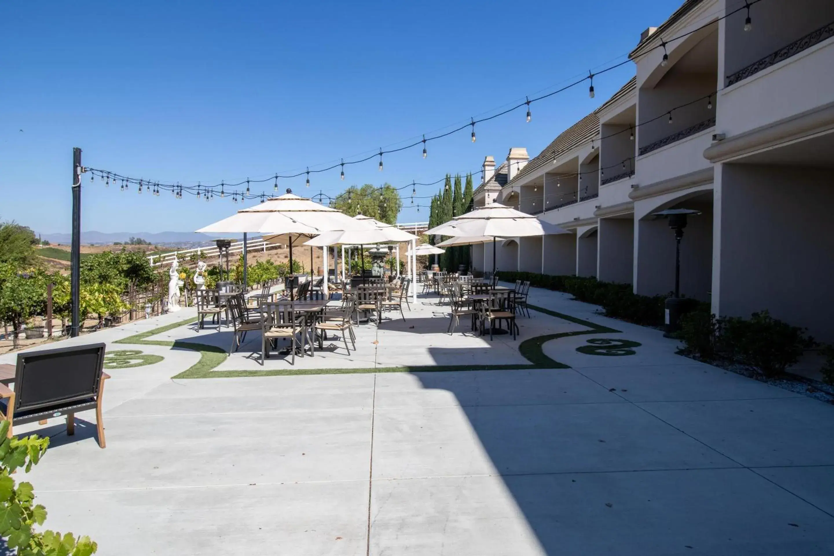 View (from property/room) in Churon Inn Winery View (from property/room) in Churon Inn Winery