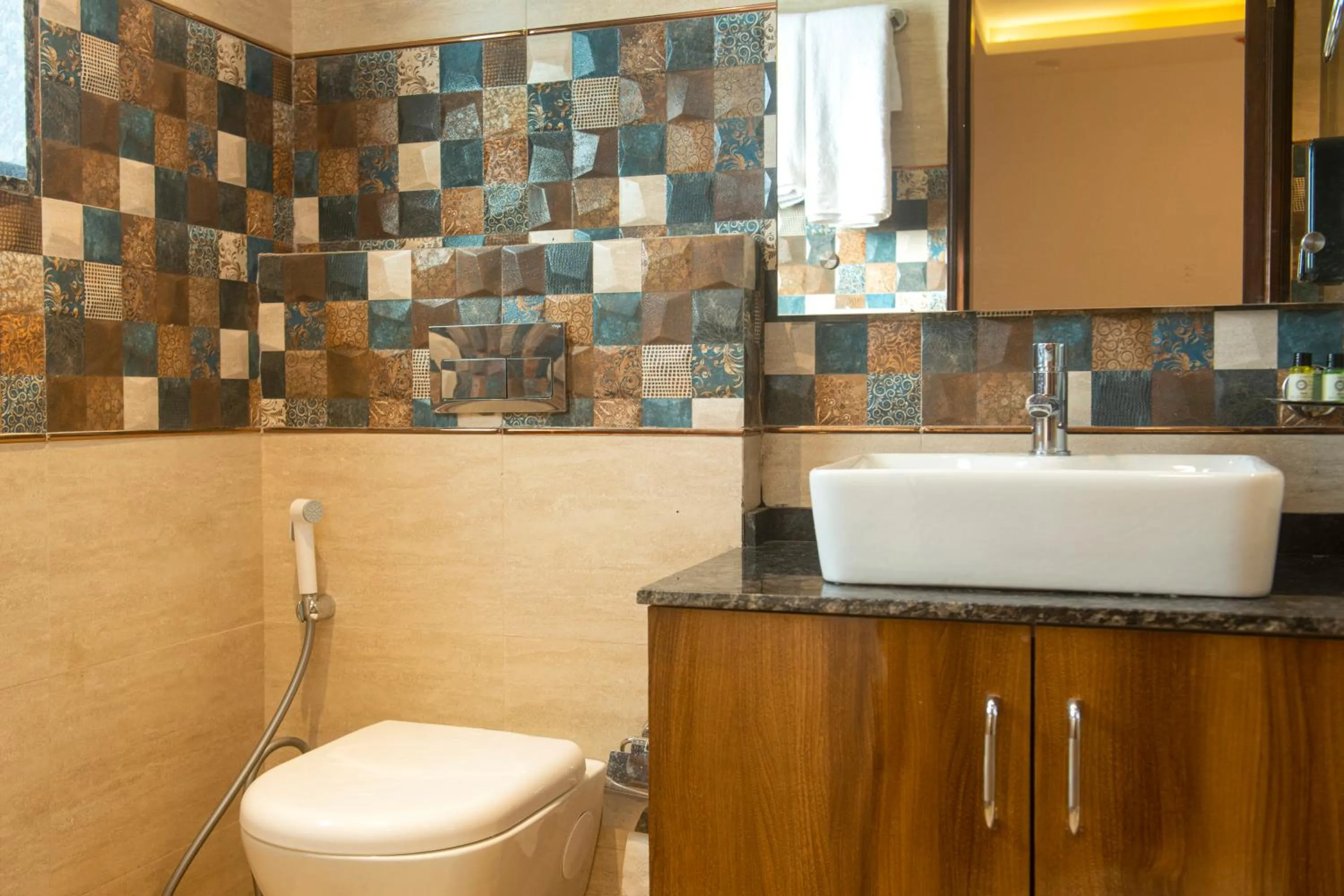 Toilet in Posh Residency Artemis Hospital Road Gurgaon