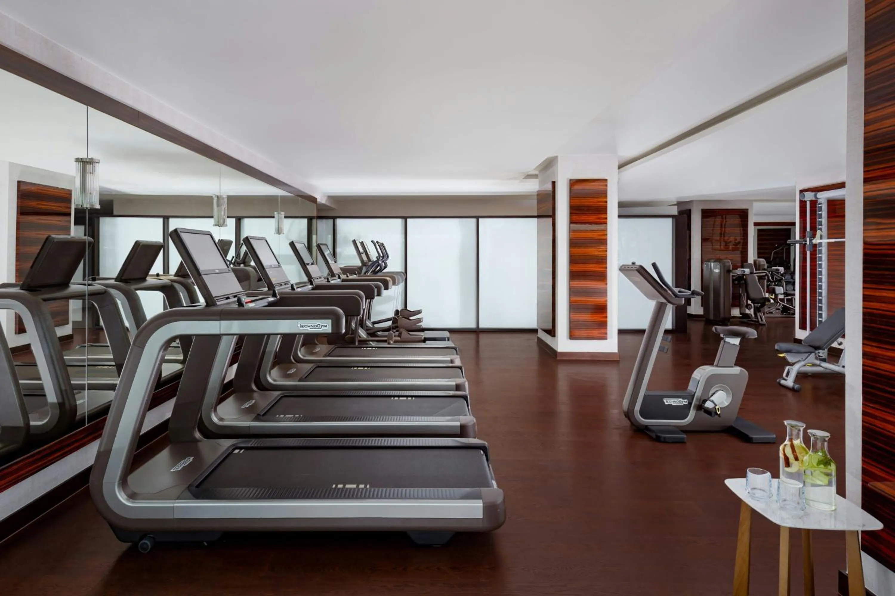Fitness centre/facilities in The Ritz-Carlton, Baku
