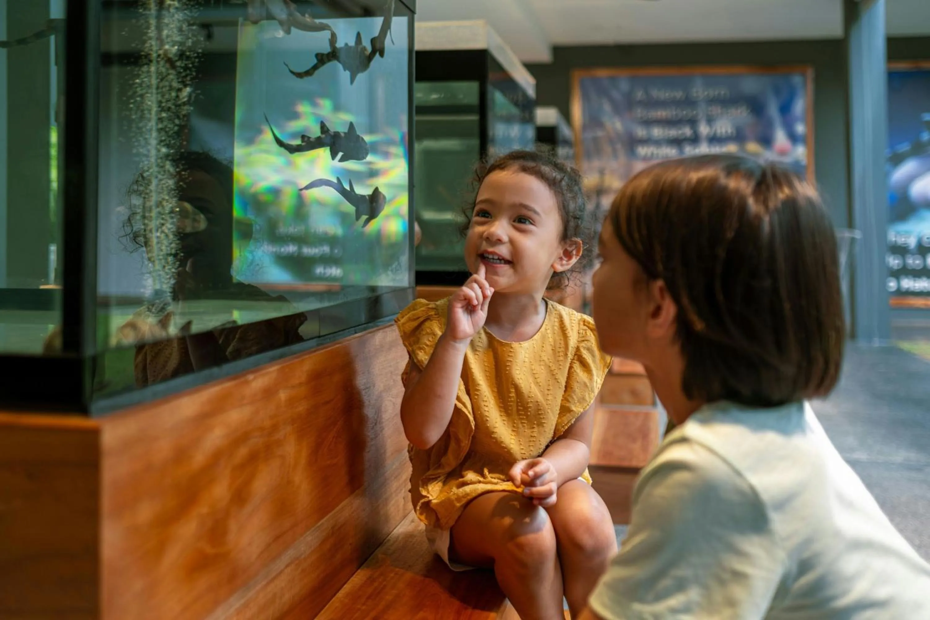 Other in Marriott Vacation Club, Khao Lak Beach Resort