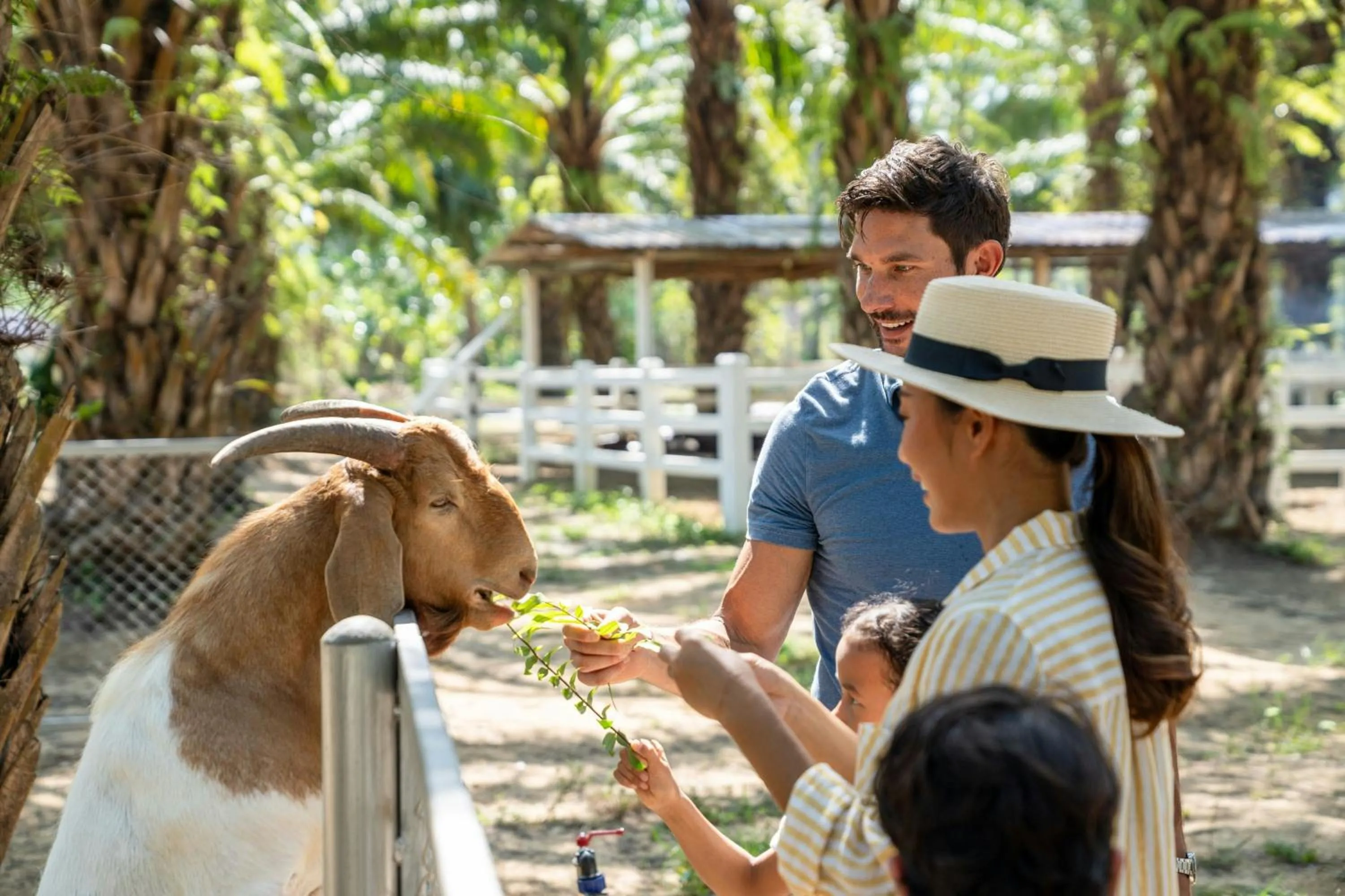 Other in Marriott Vacation Club, Khao Lak Beach Resort
