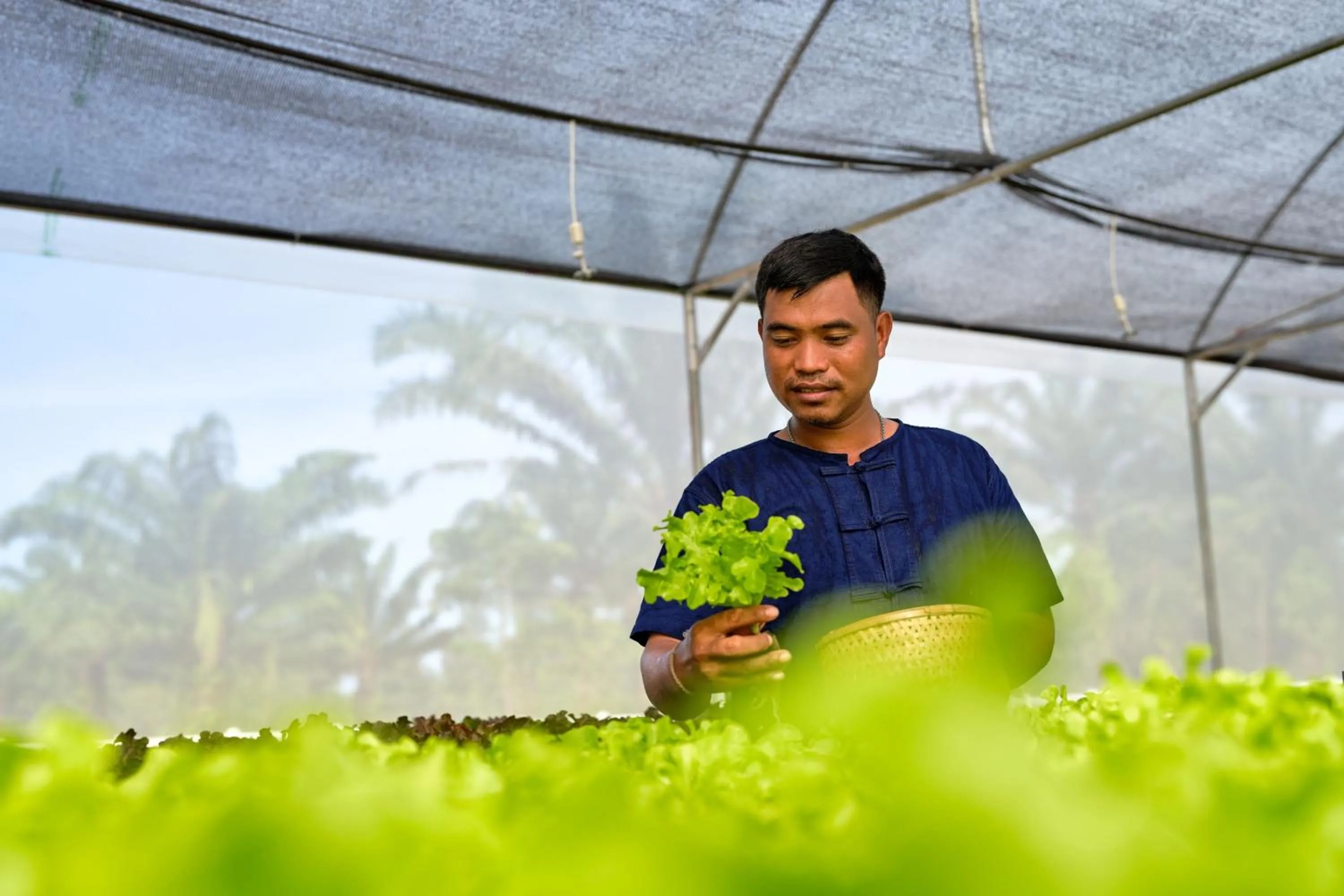 Other in JW Marriott Khao Lak Resort Suites