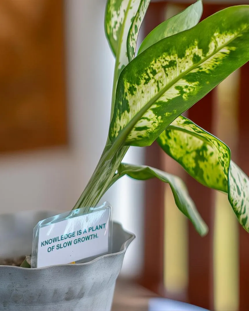 Decorative detail in Yellow Mango Resort Bohol