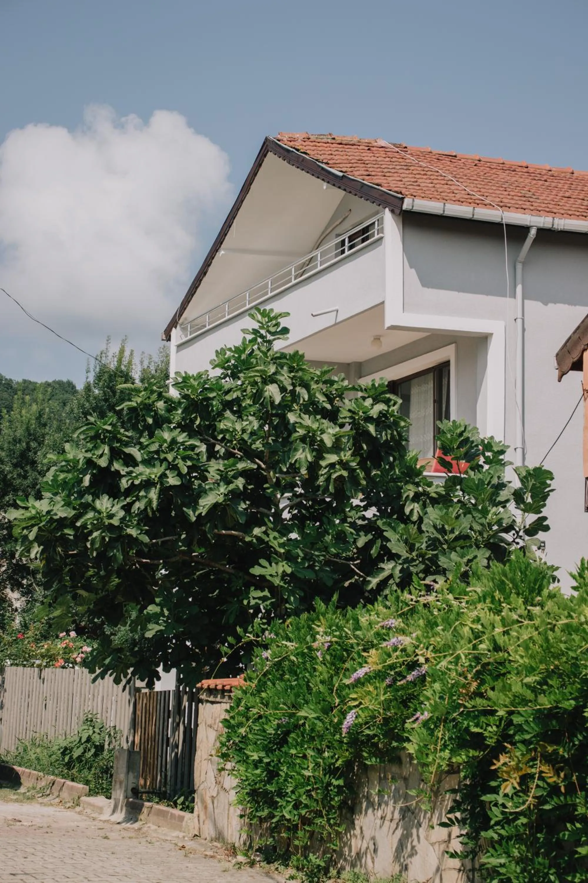 Garden in Ağva Marina House
