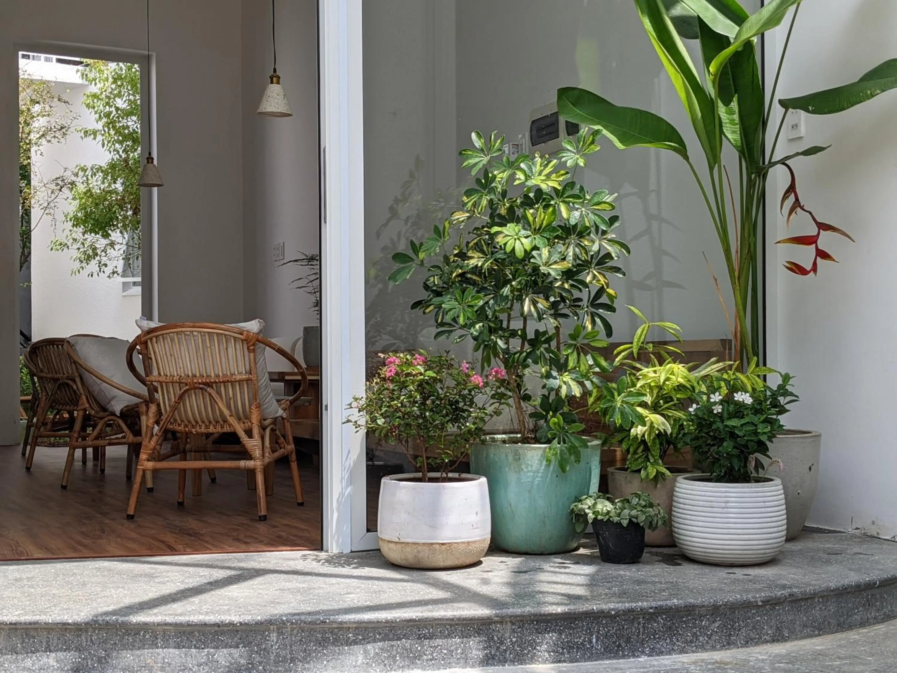 Natural landscape in Metta Homestay Hue