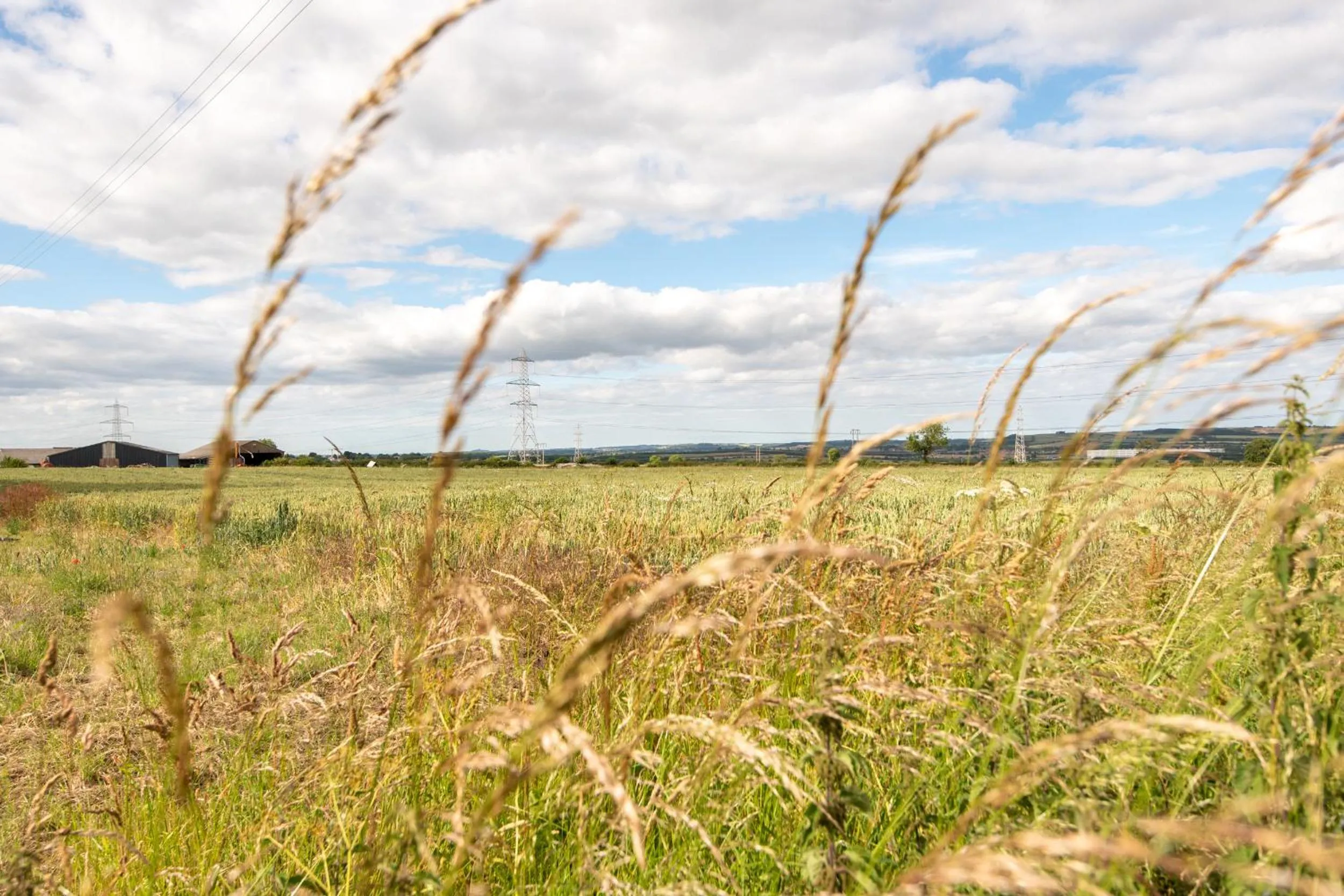 Natural landscape in East Farm Cottage