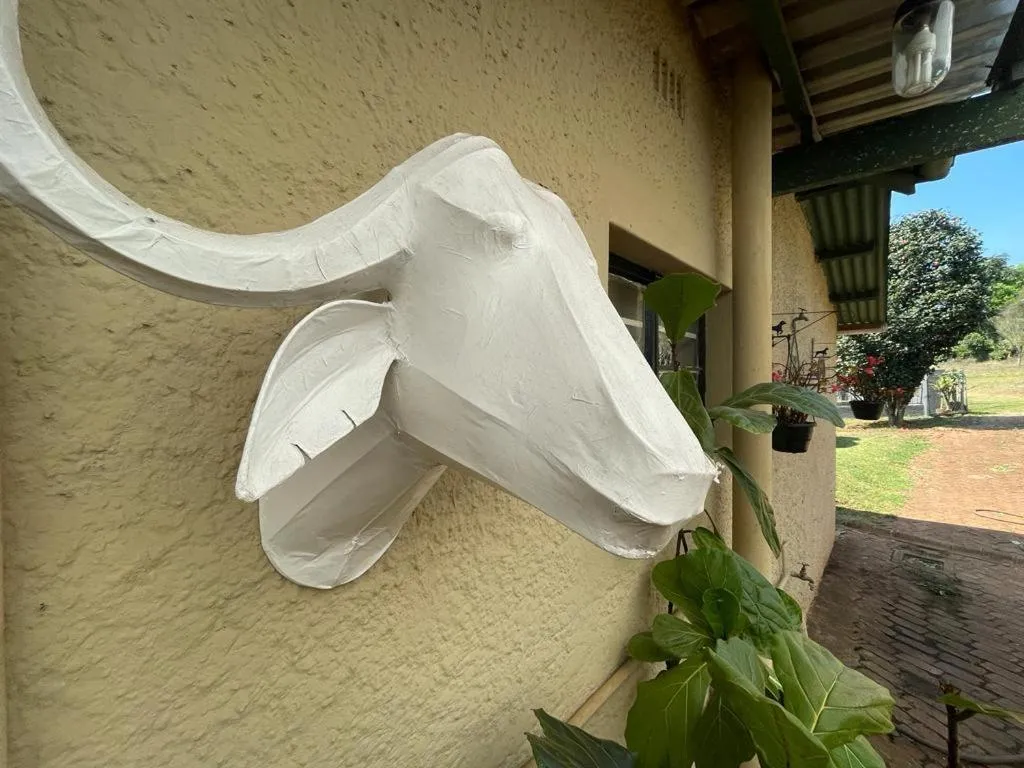Garden in A Bird Cage Stay & Cottage