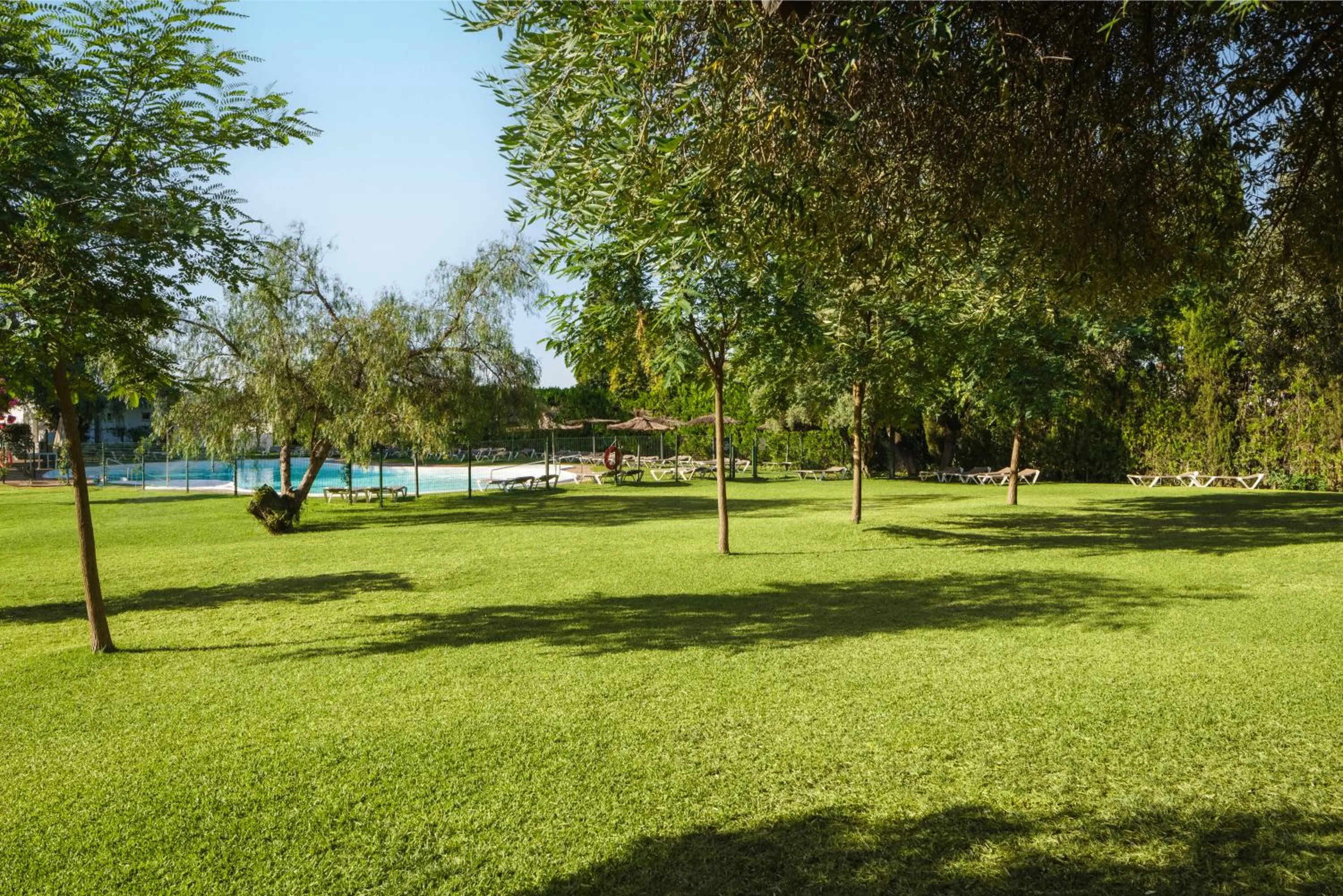Swimming pool in Crisol Jardines de Córdoba