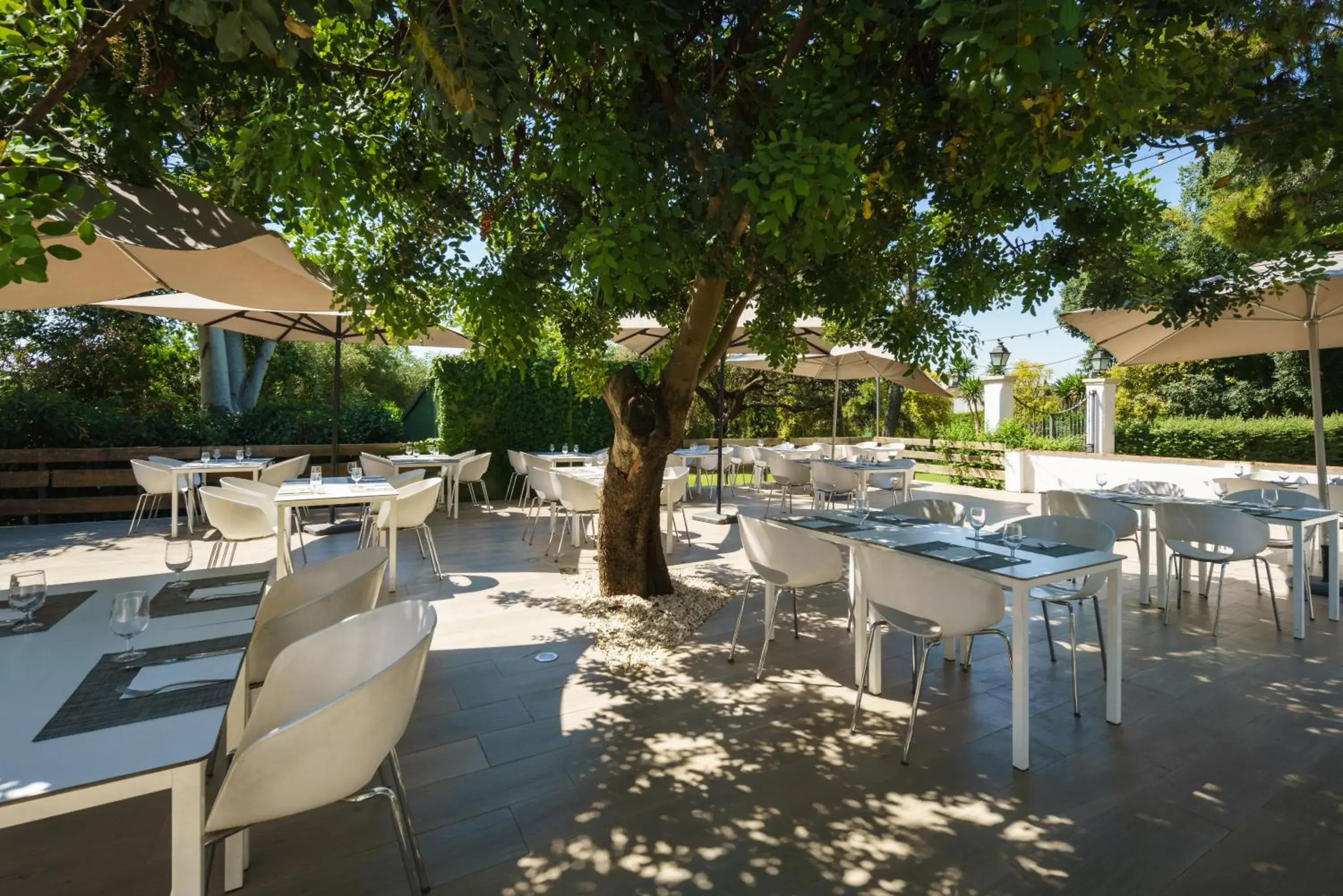 Swimming pool in Crisol Jardines de Córdoba Swimming pool in Crisol Jardines de Córdoba