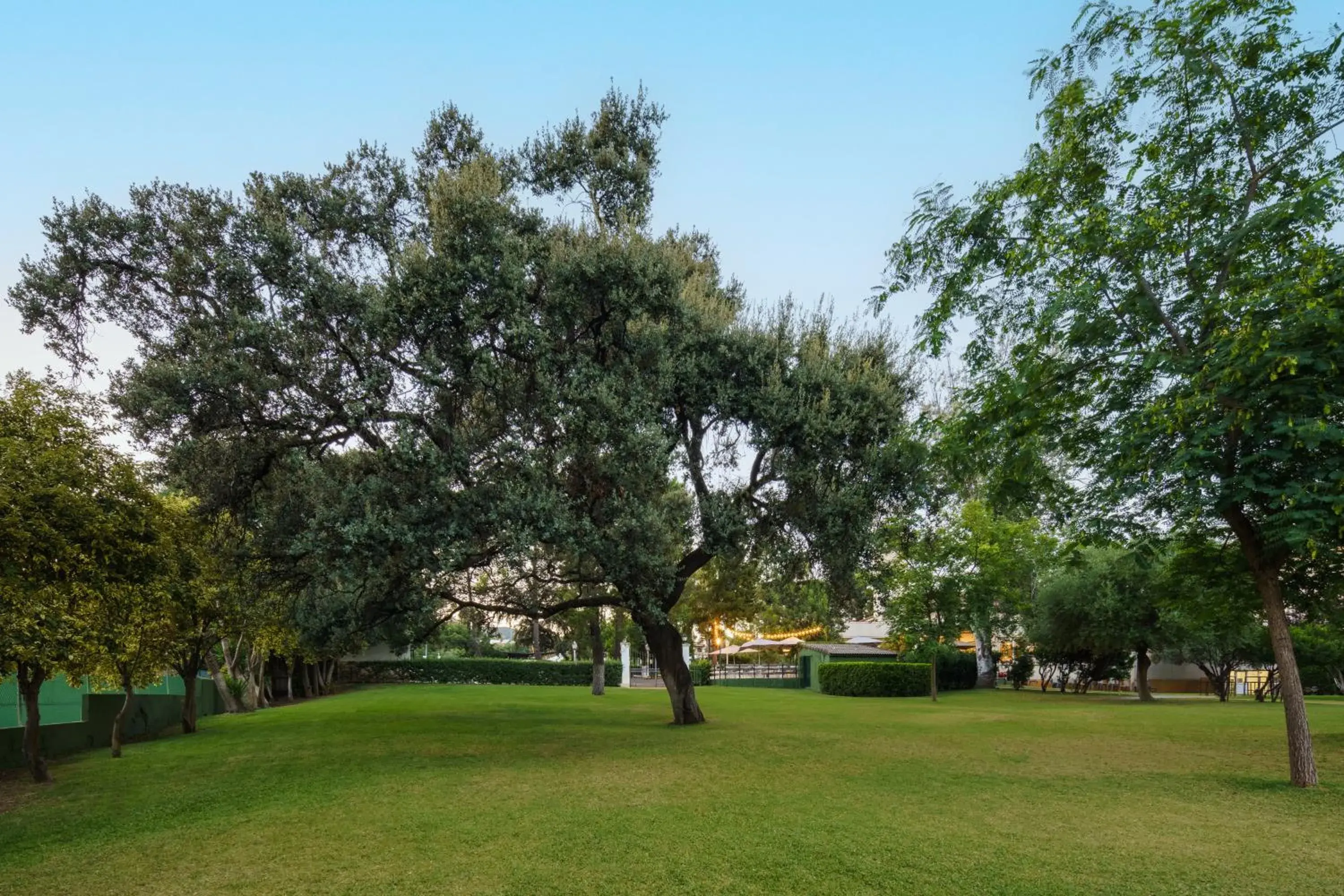 Garden view in Crisol Jardines de Córdoba Garden view in Crisol Jardines de Córdoba