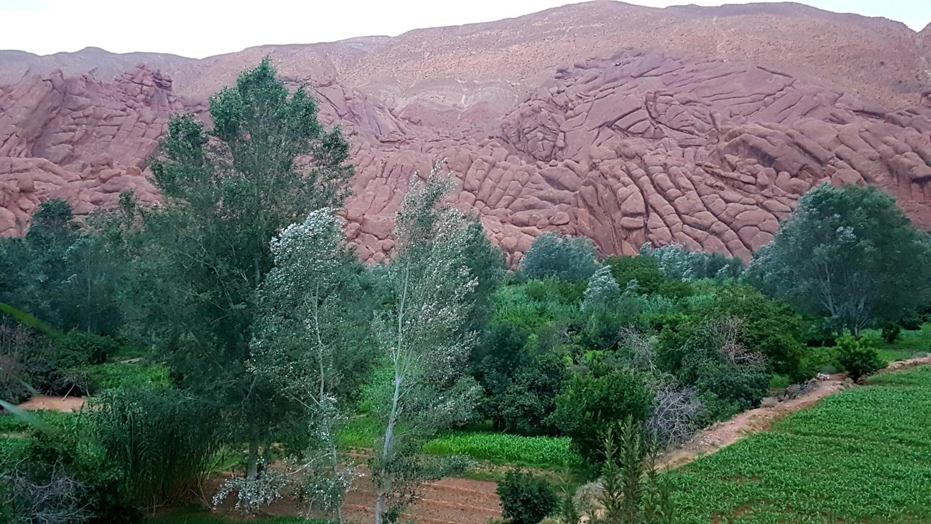 Auberge Kasbah Ait Marghad