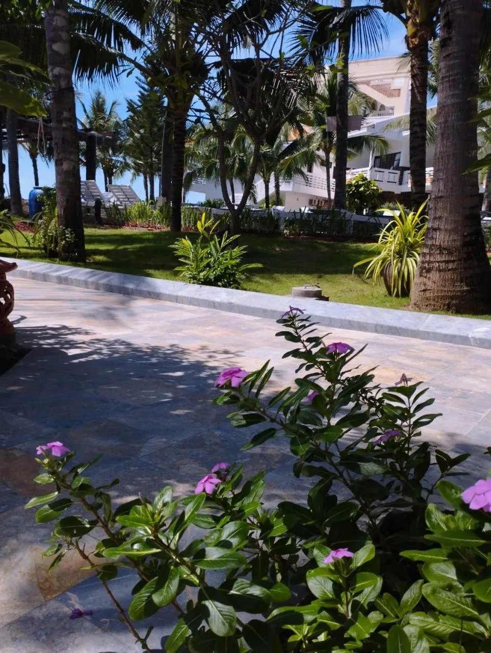 Natural landscape in Ravenala Muine Resort