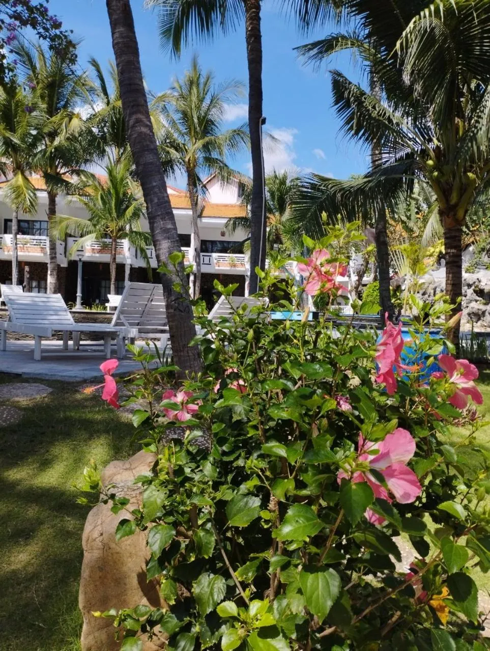 Garden in Ravenala Muine Resort