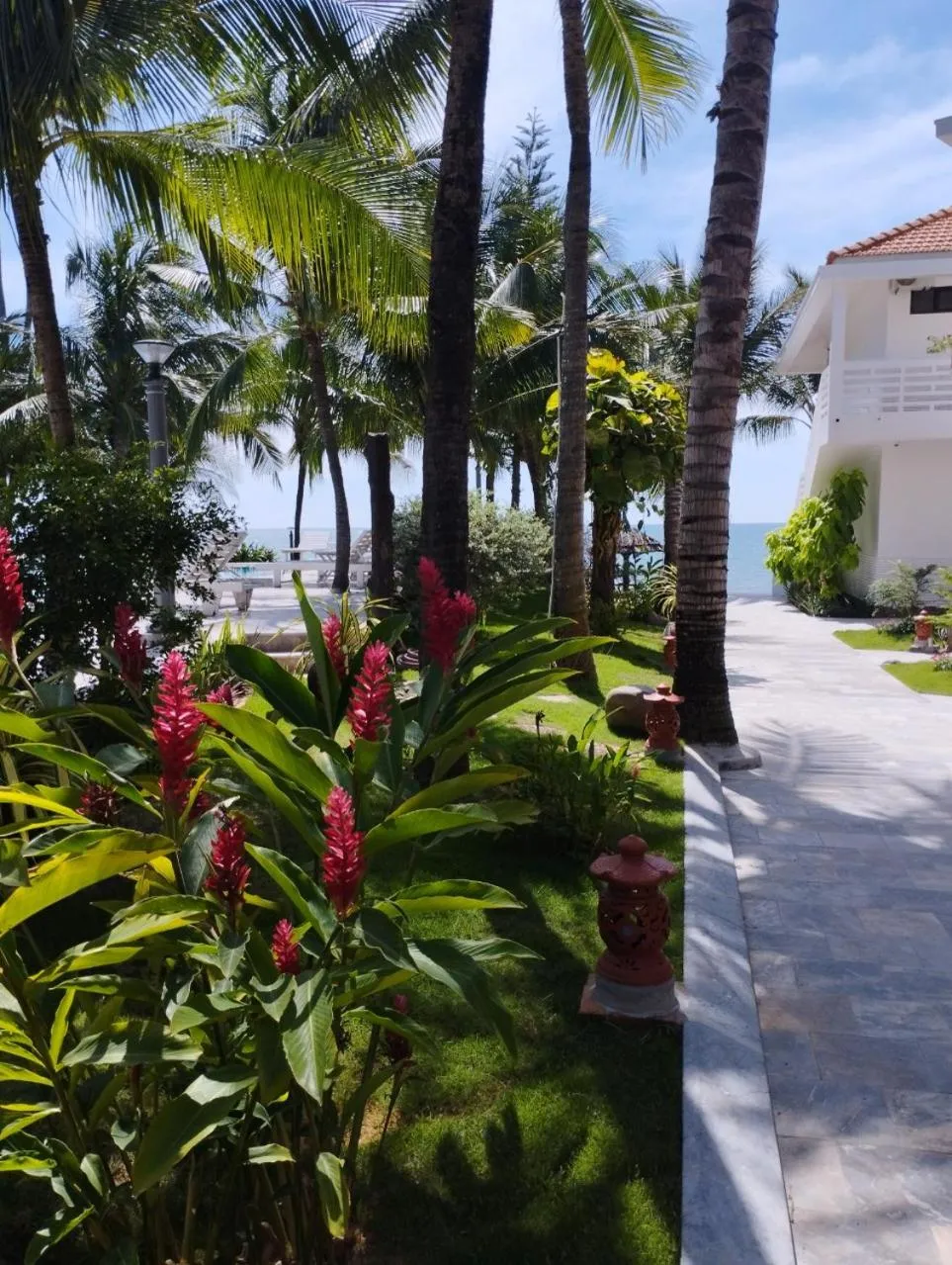 Natural landscape in Ravenala Muine Resort